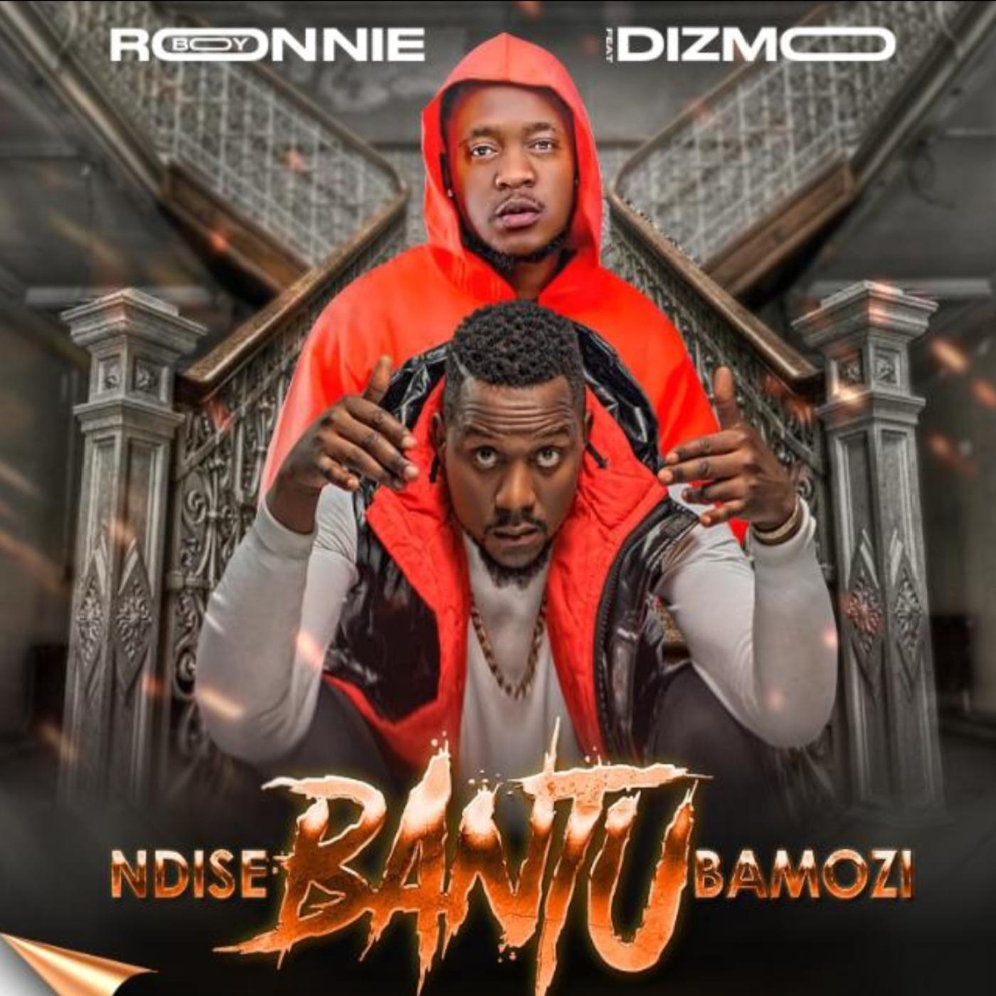 Постер альбома Ndise Bantu Bamozi (feat. Dizmo)