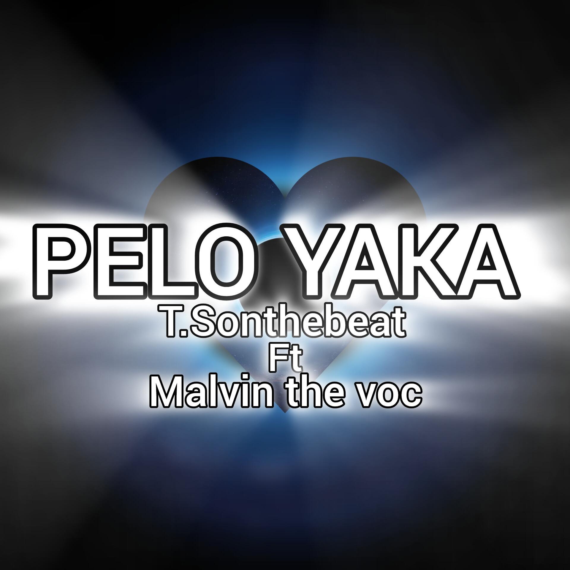 Постер альбома PELO yaka (feat. Malvin the voc)
