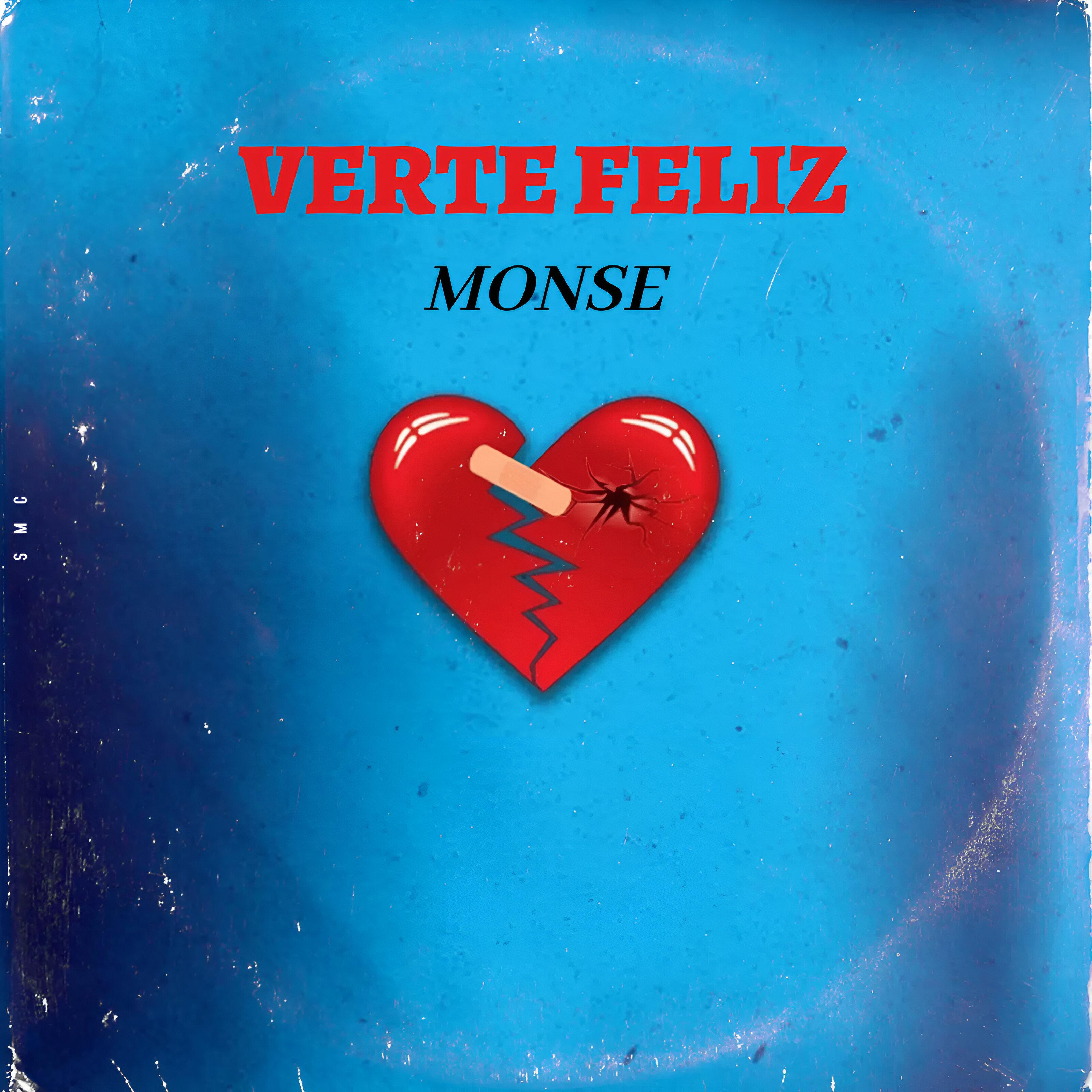 Постер альбома Verte Feliz