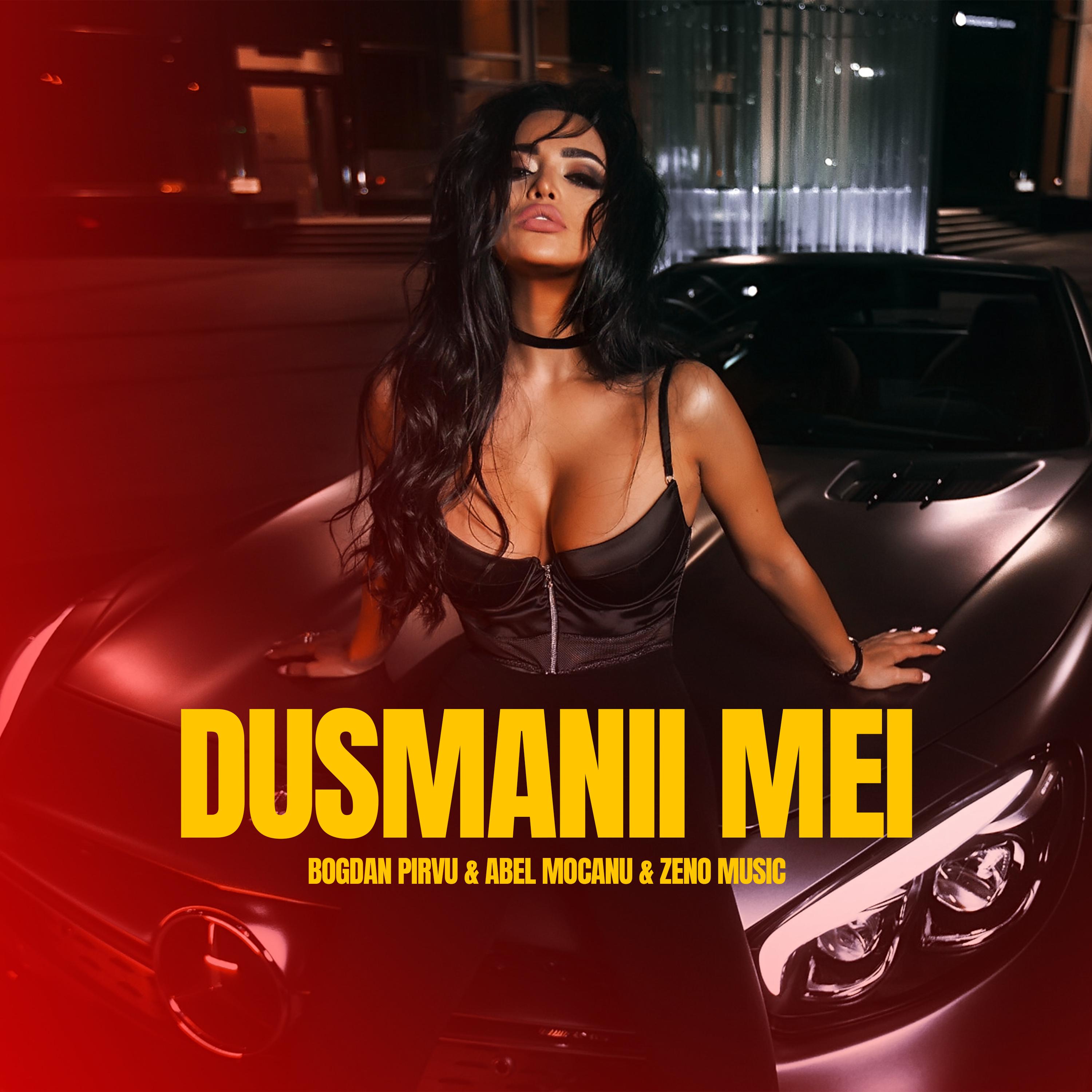 Постер альбома Dusmanii mei
