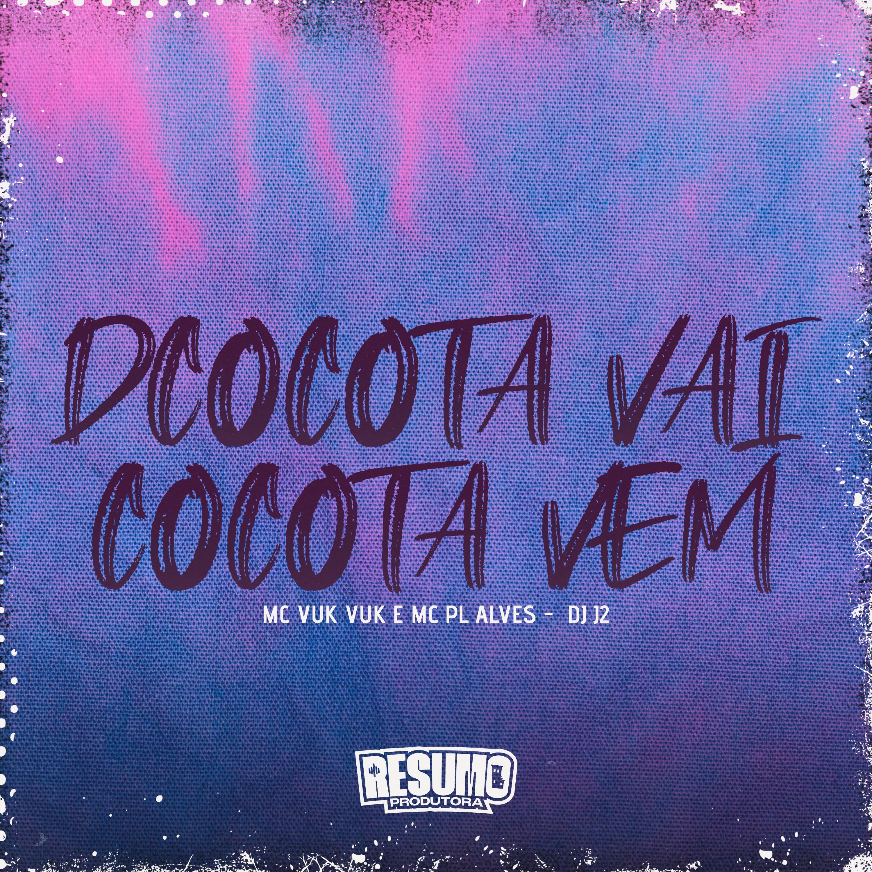 Постер альбома Cocota Vai Cocota Vem