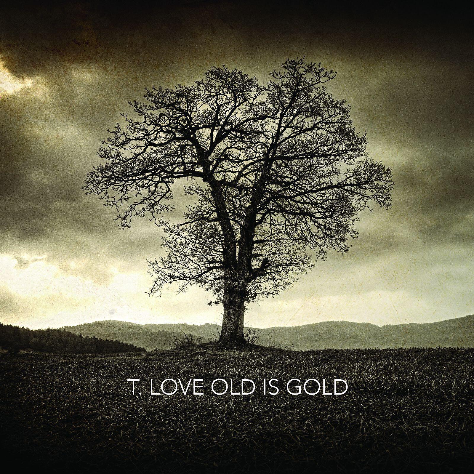 T.Love - Orwell or Not Well