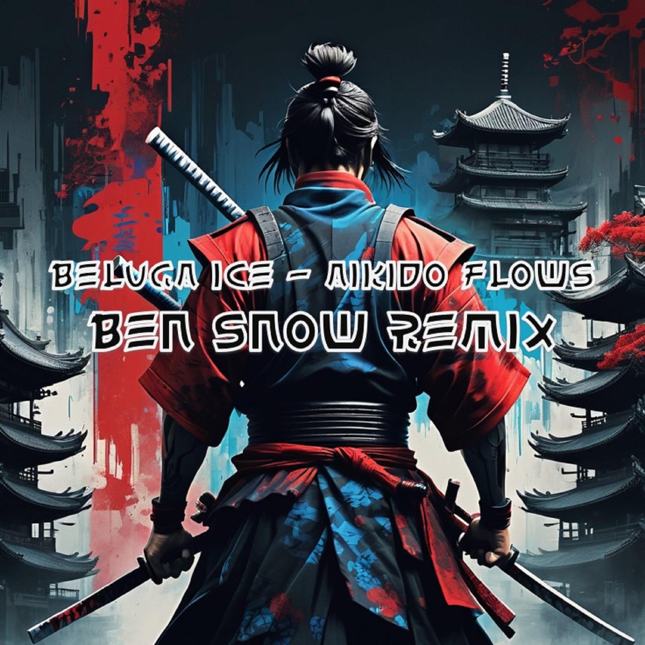Постер альбома Aikido Flows (Ben Snow Remix)