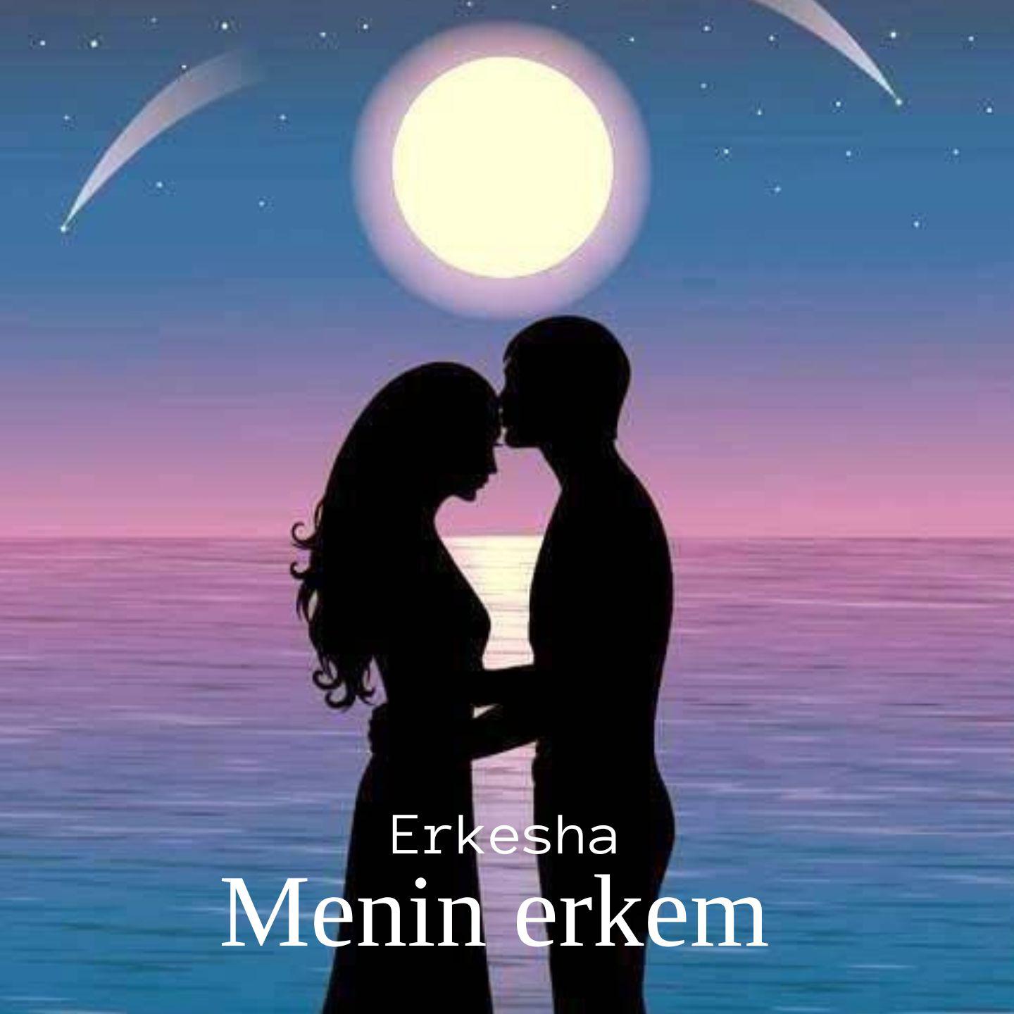 Постер альбома Menin erkem