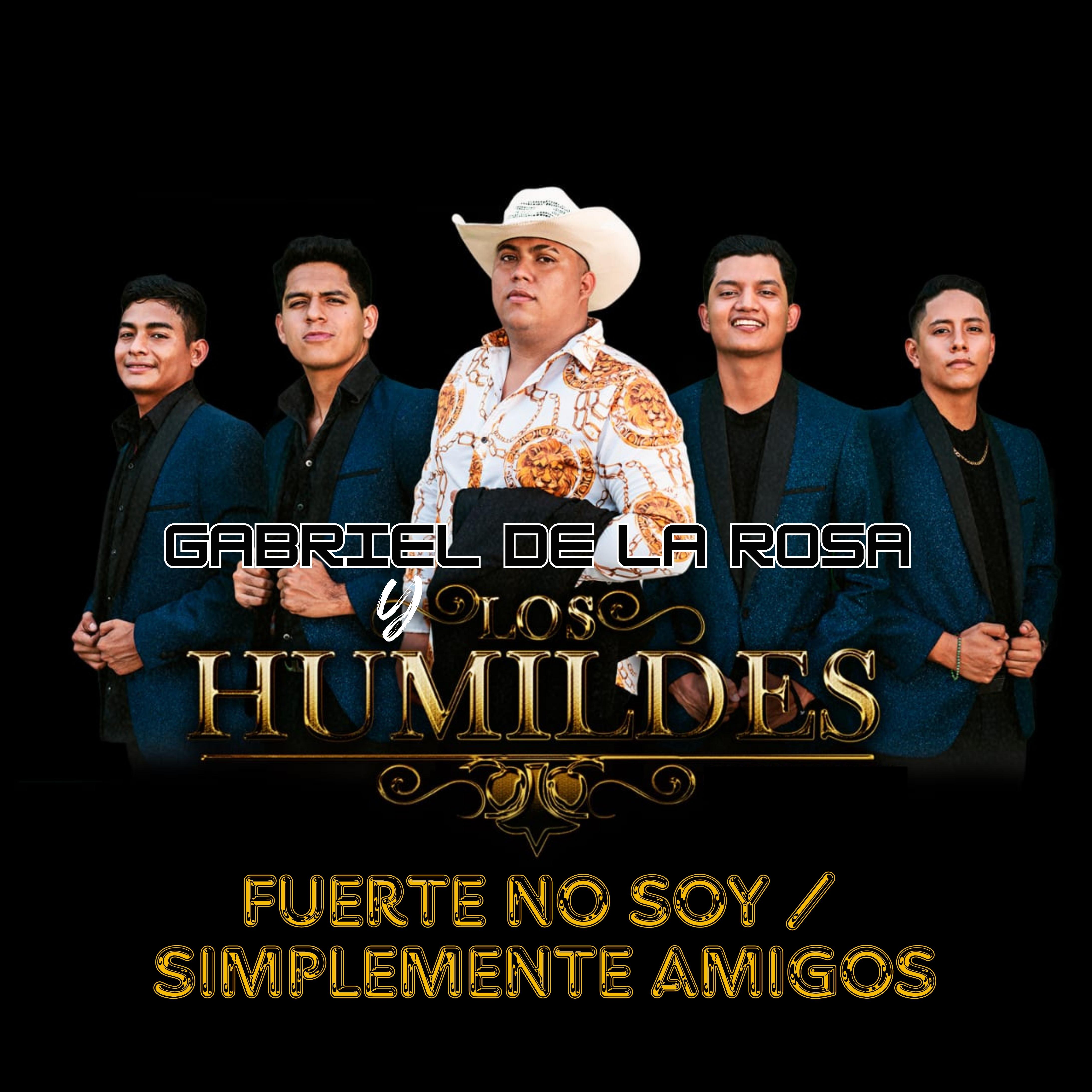 Постер альбома Fuerte No Soy / Simplemente Amigos