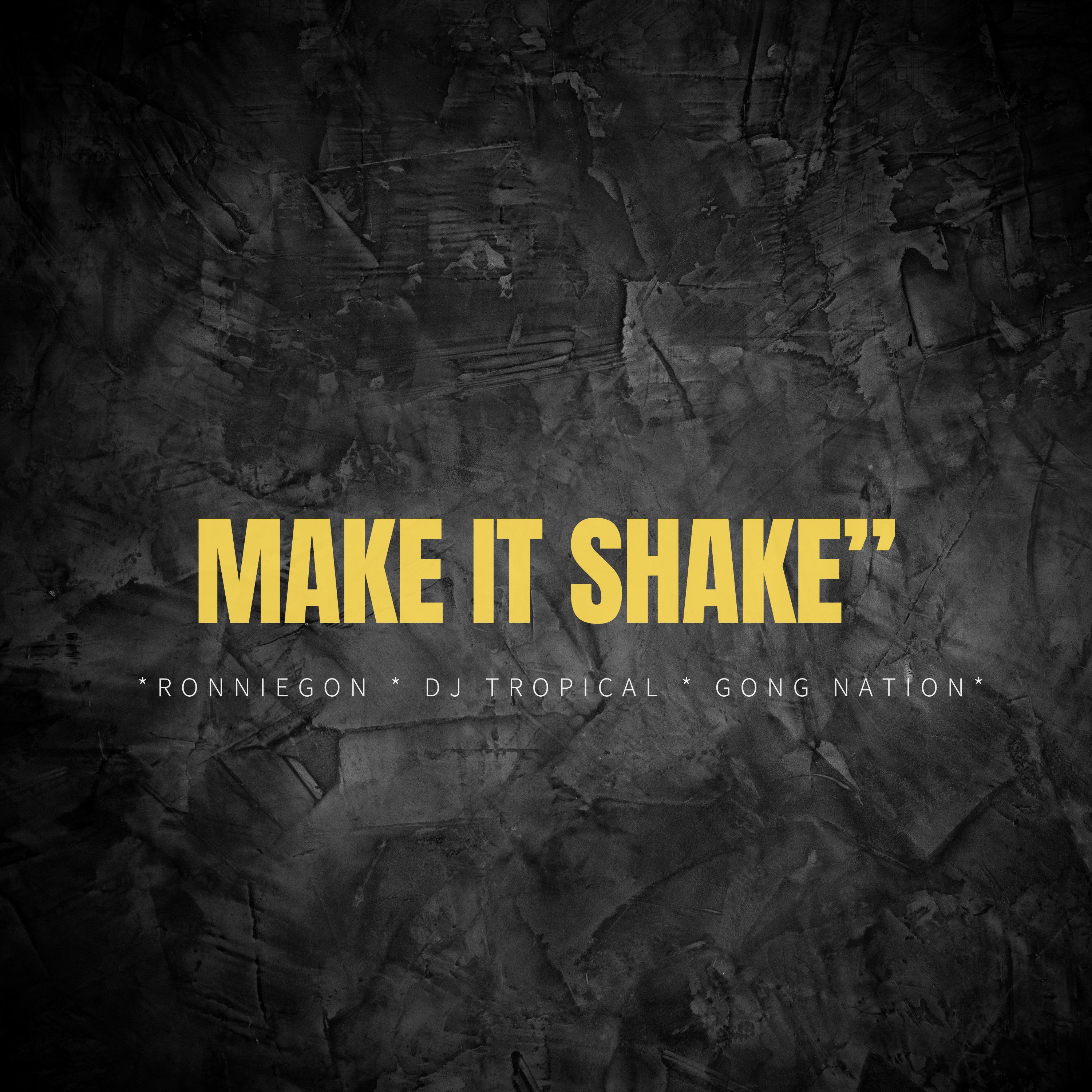 Постер альбома Make It Shake