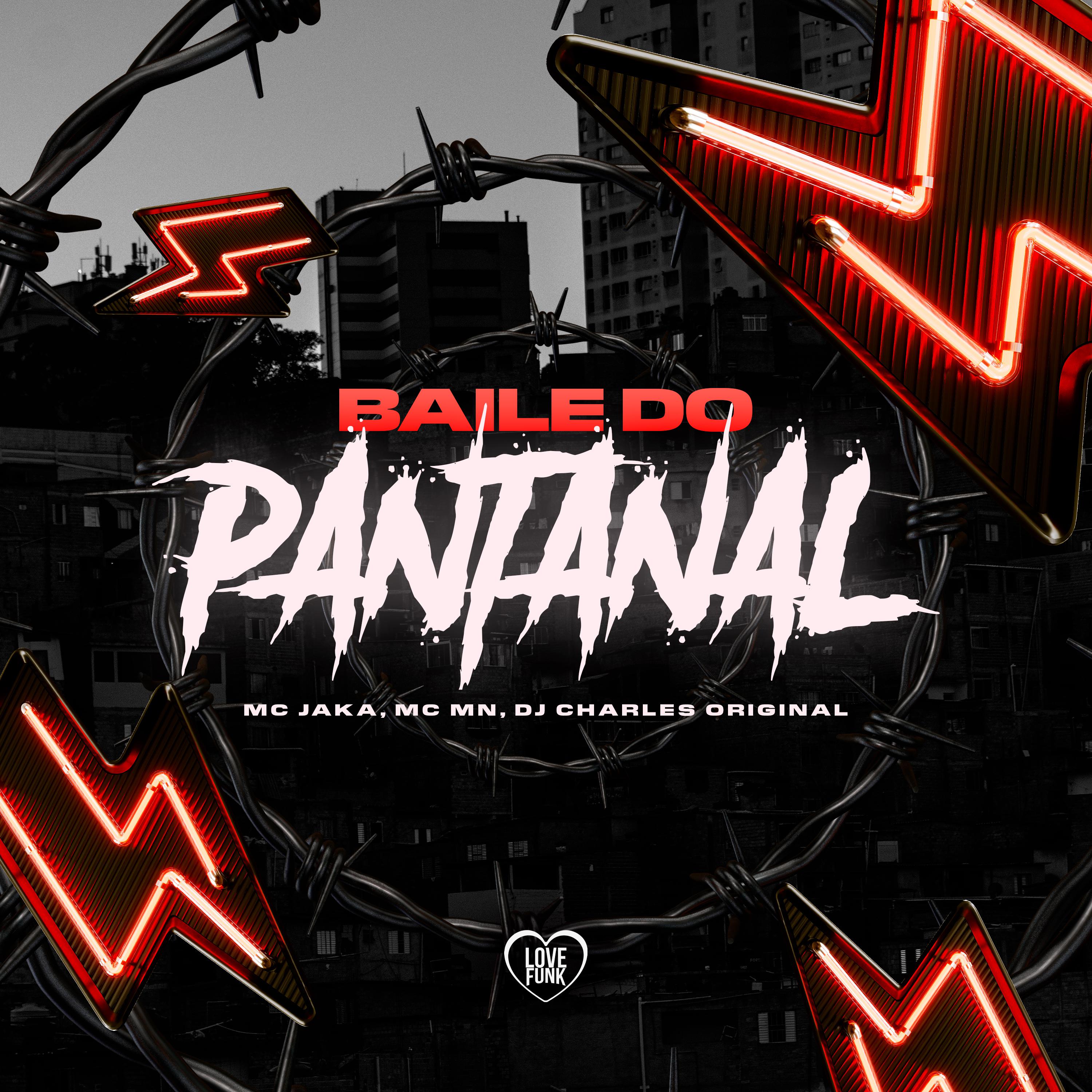 Постер альбома Baile do Pantanal