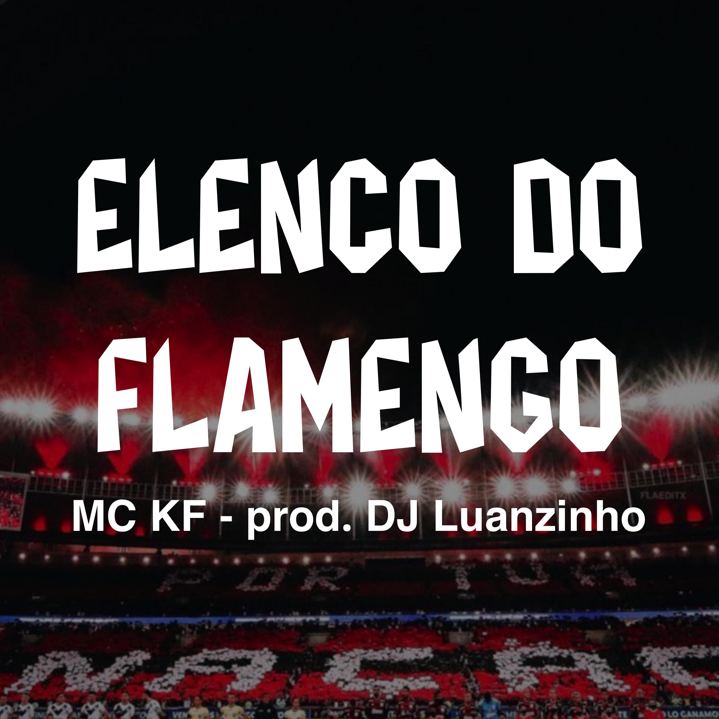 Постер альбома Elenco Do Flamengo