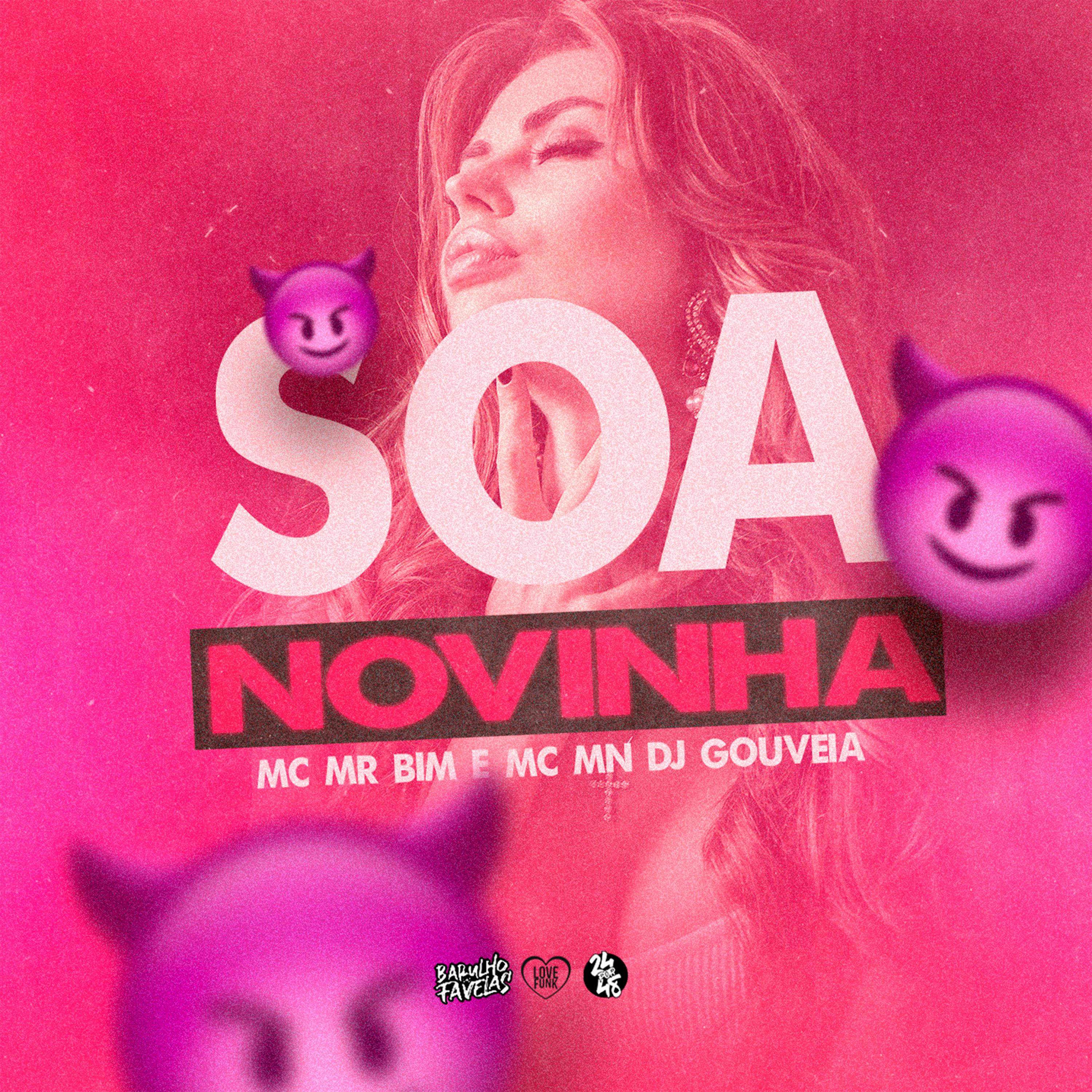 Постер альбома Soa Novinha