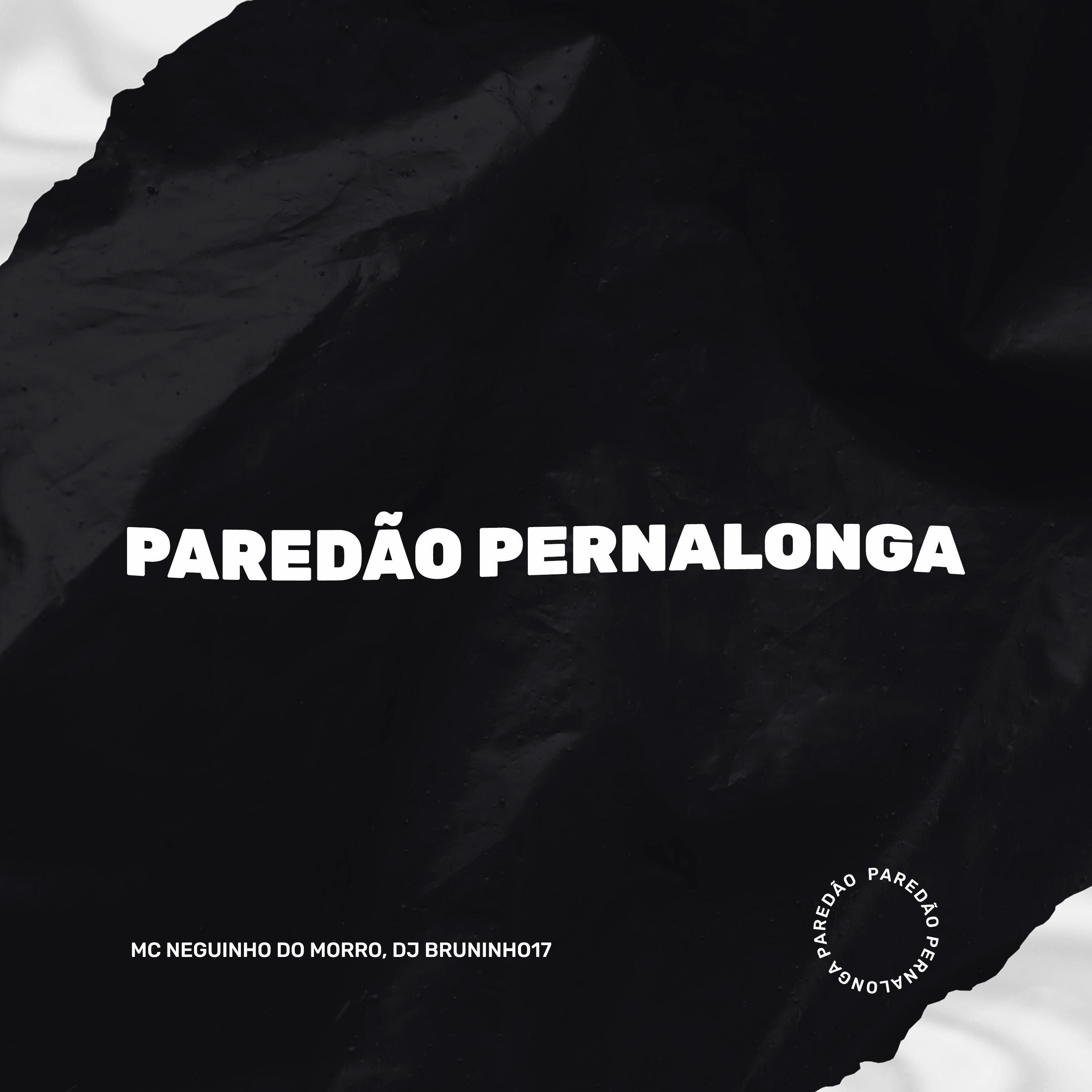 Постер альбома Paredão Pernalonga