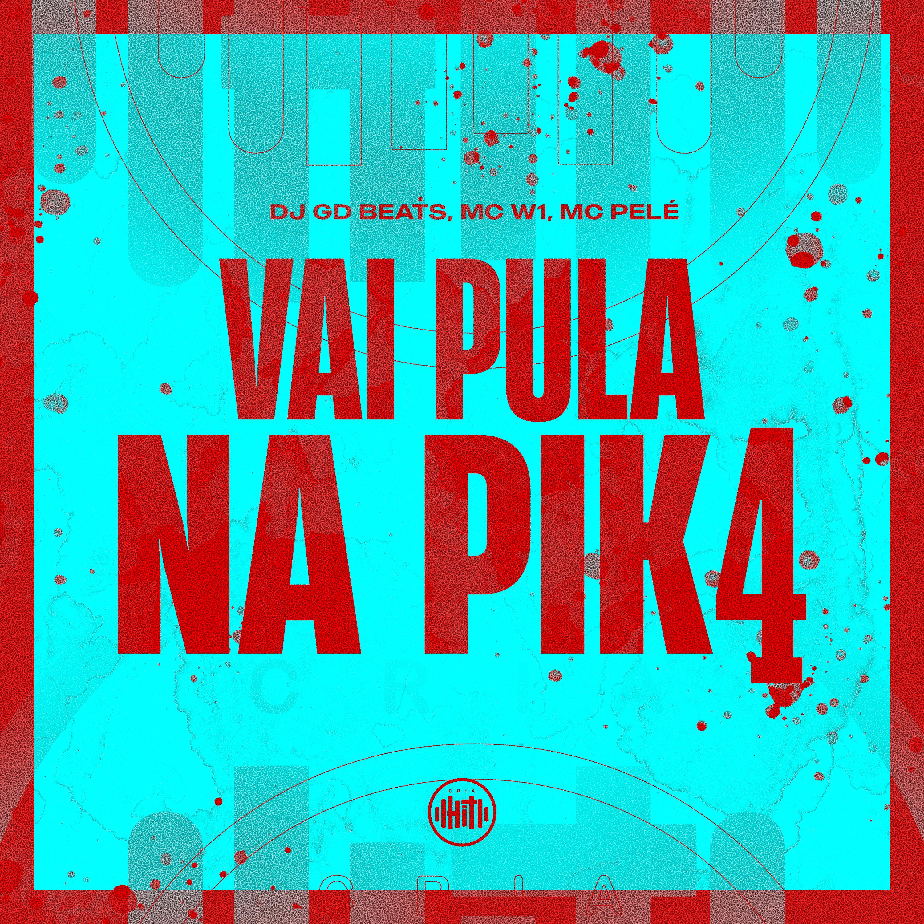 Постер альбома Vai Pula na Pik4