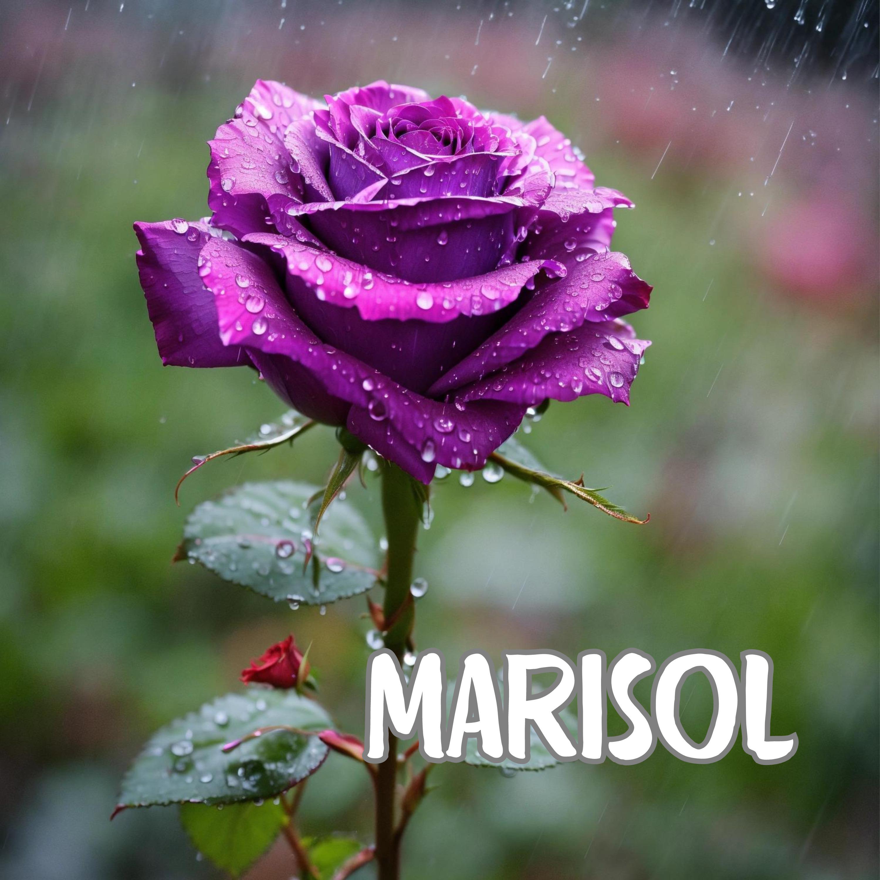 Постер альбома Marisol
