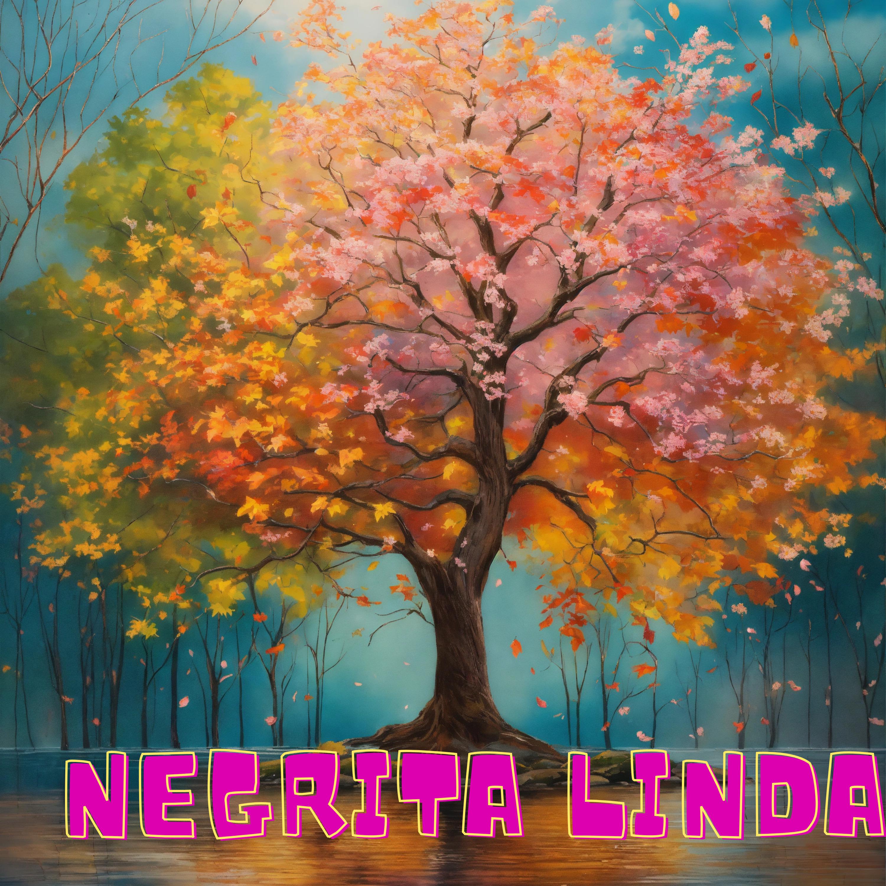 Постер альбома Negrita Linda