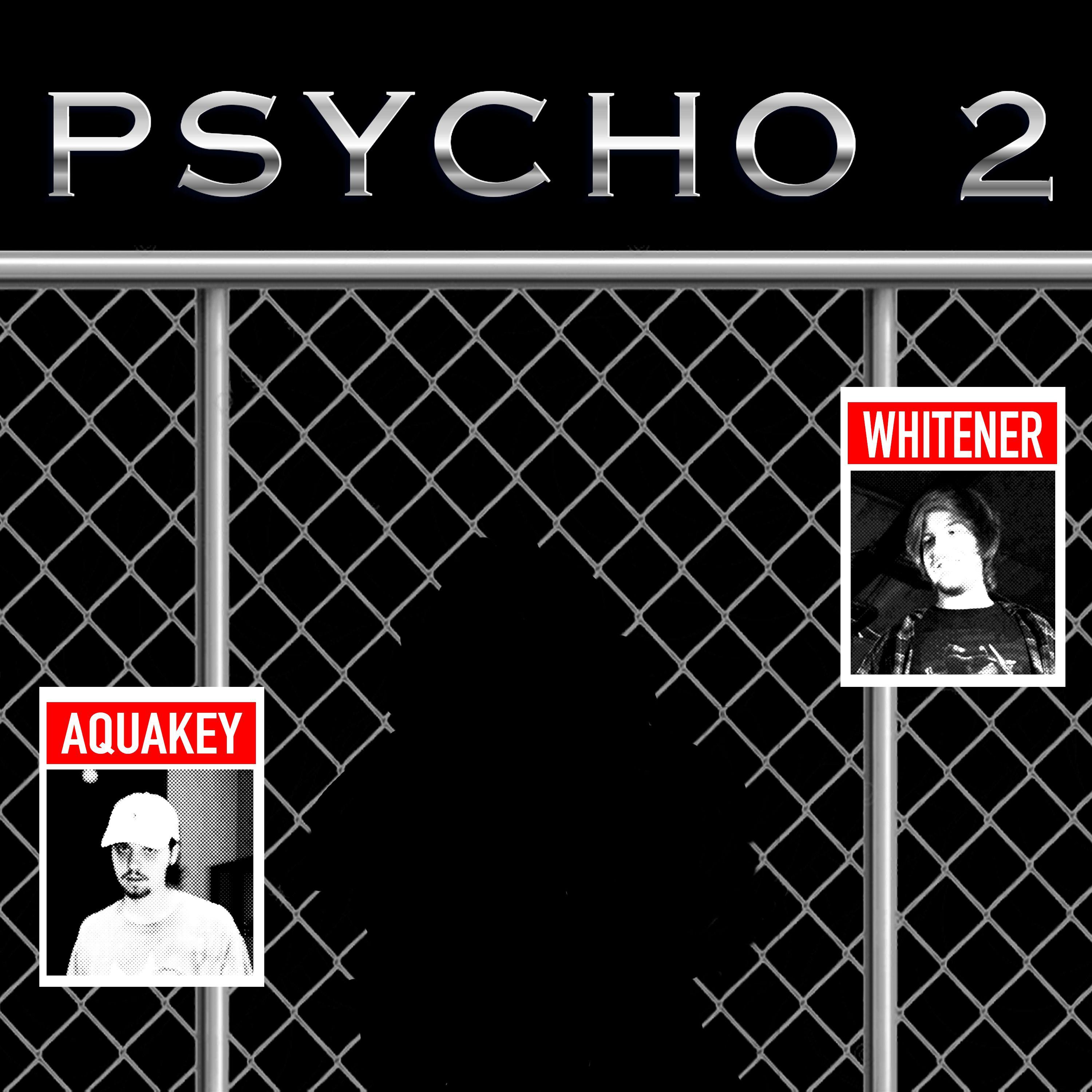 Постер альбома psycho 2