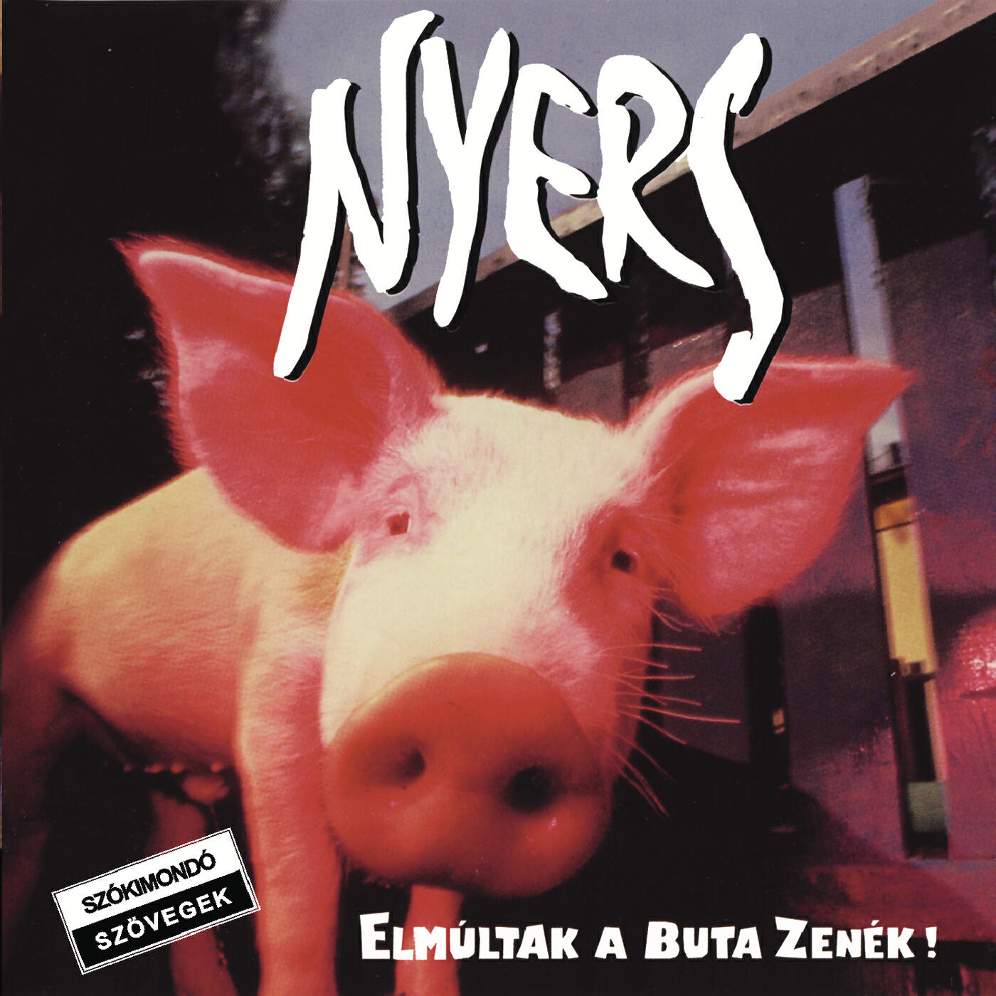 Nyers - Dundi pocak