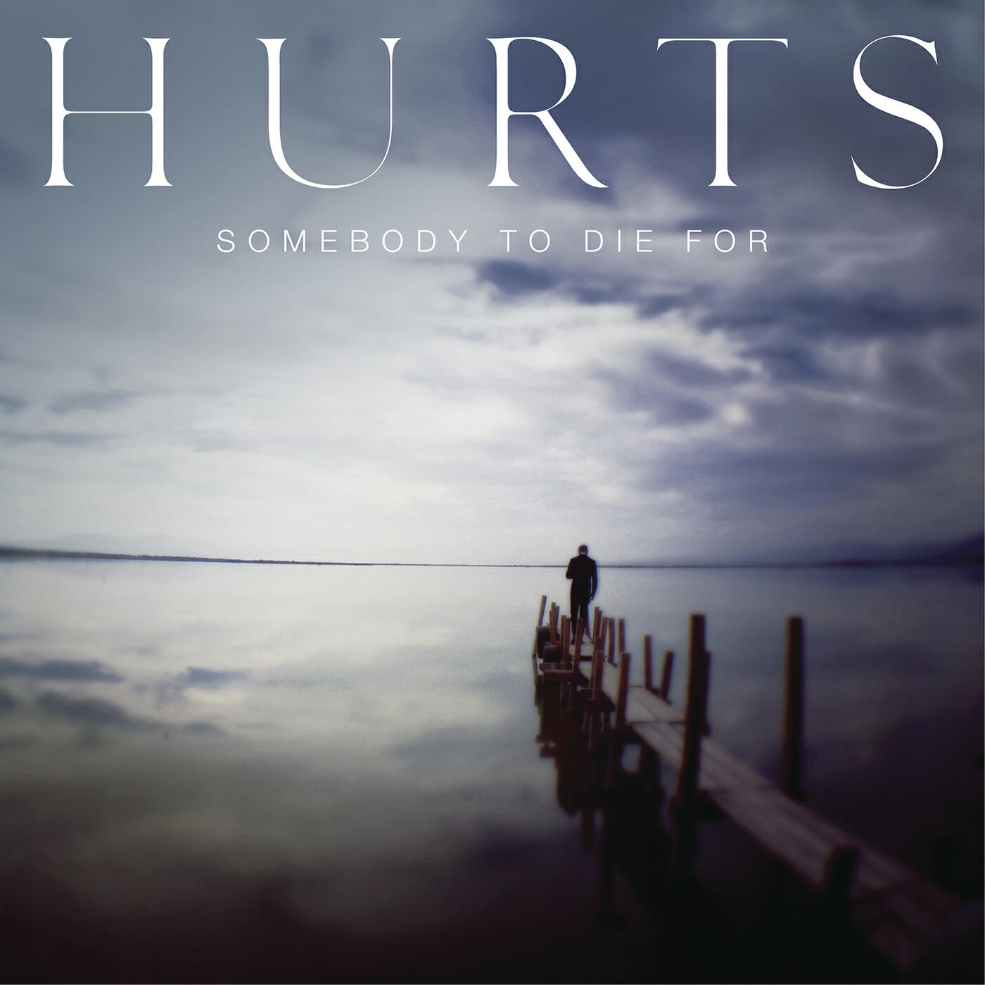 Hurts - Somebody to Die For (Franz Novotny Remix)