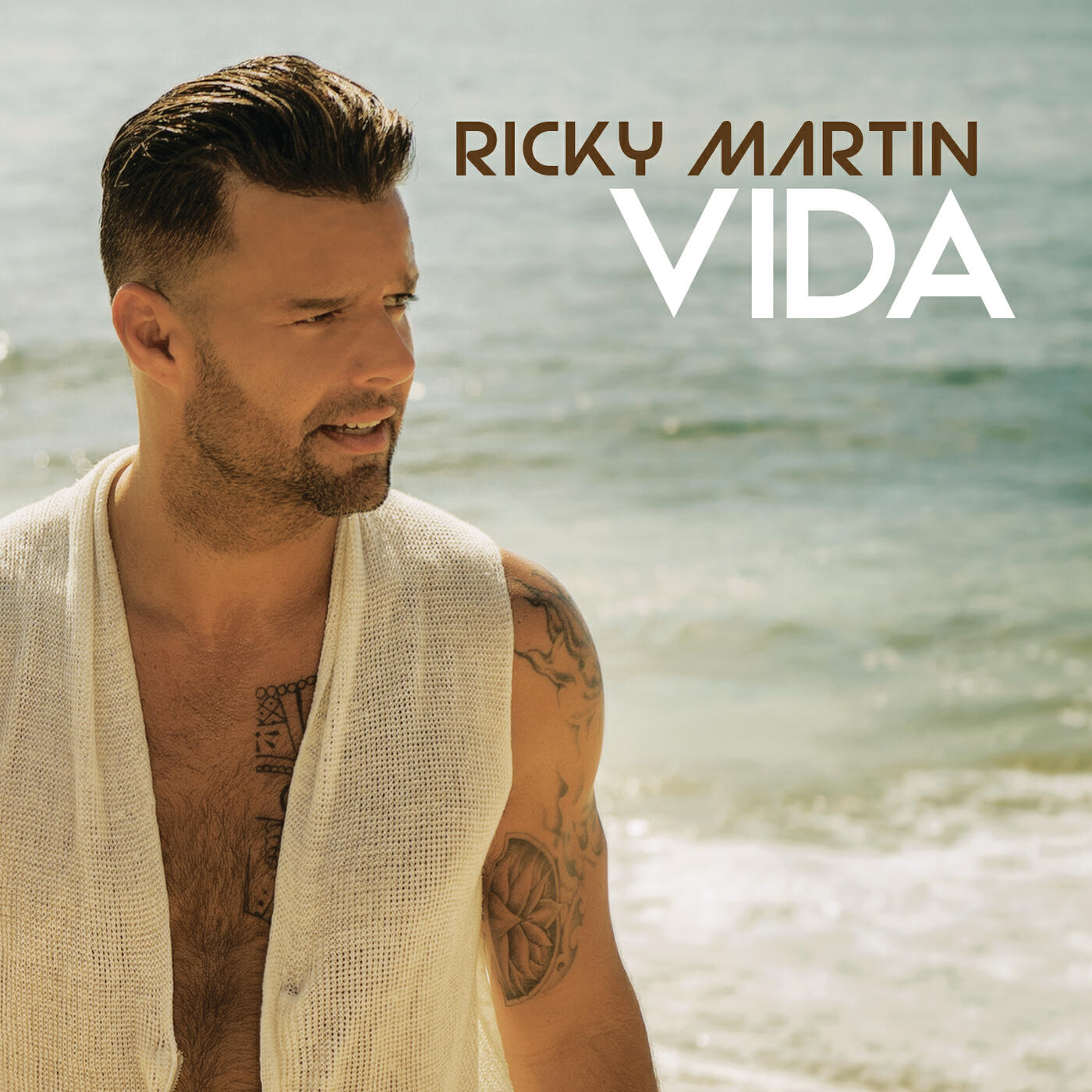 Ricky Martin - Vida (Spanglish Version)