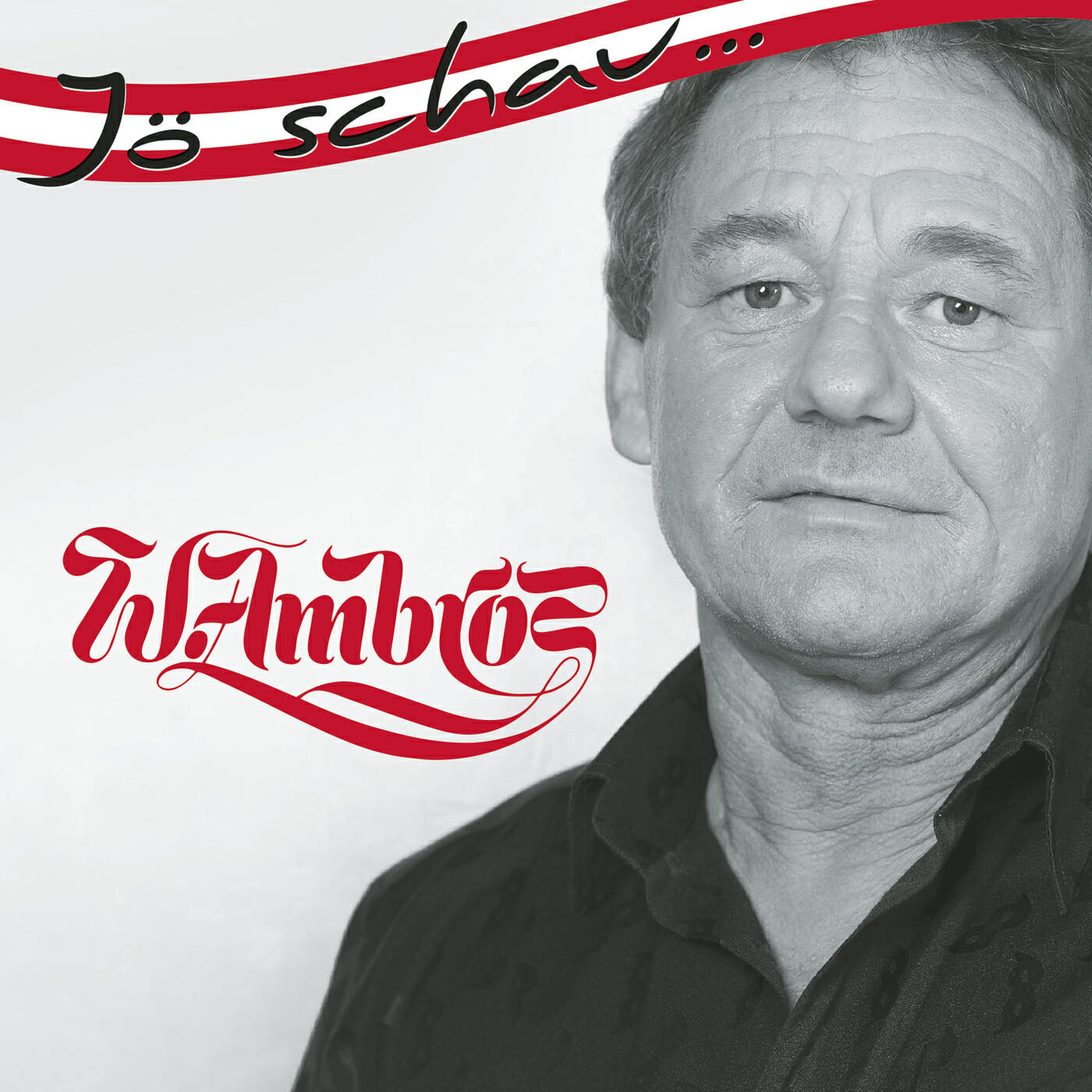 Wolfgang Ambros - Wieder verliebt
