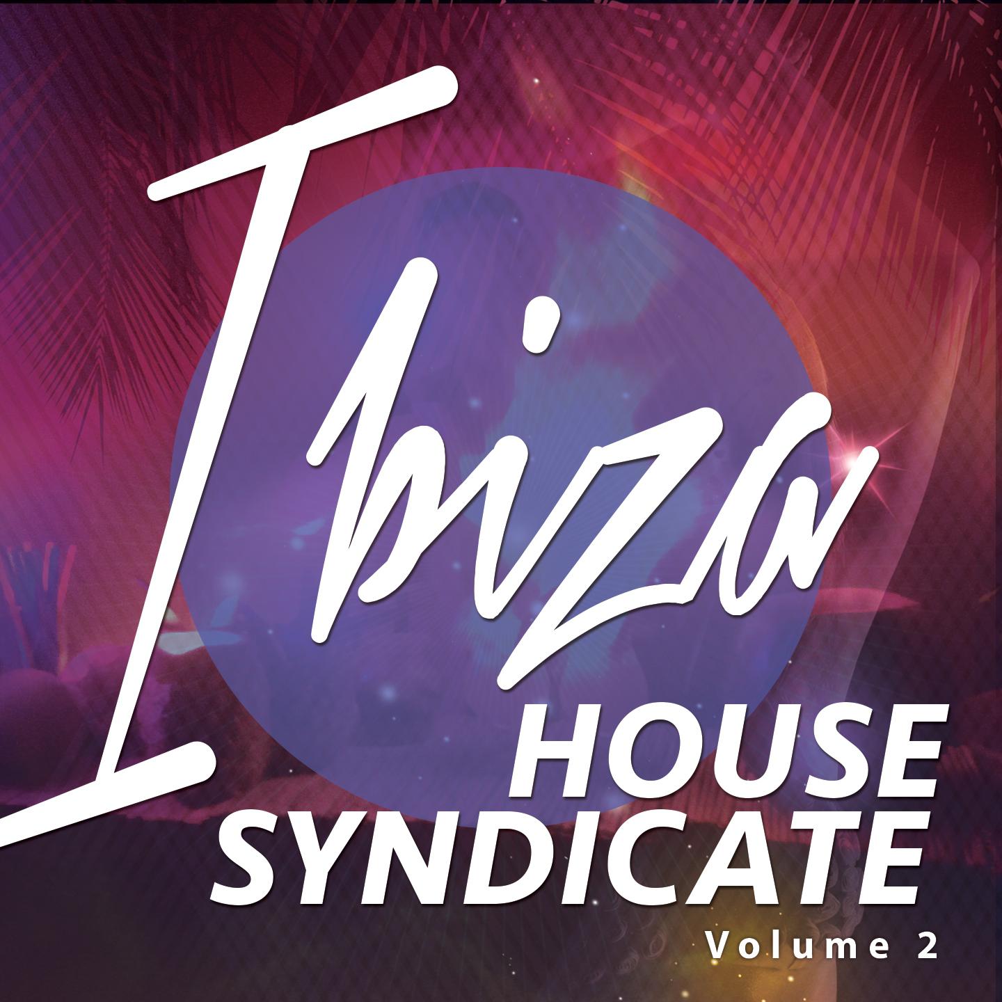 Постер альбома Ibiza House Syndicate, Vol. 2