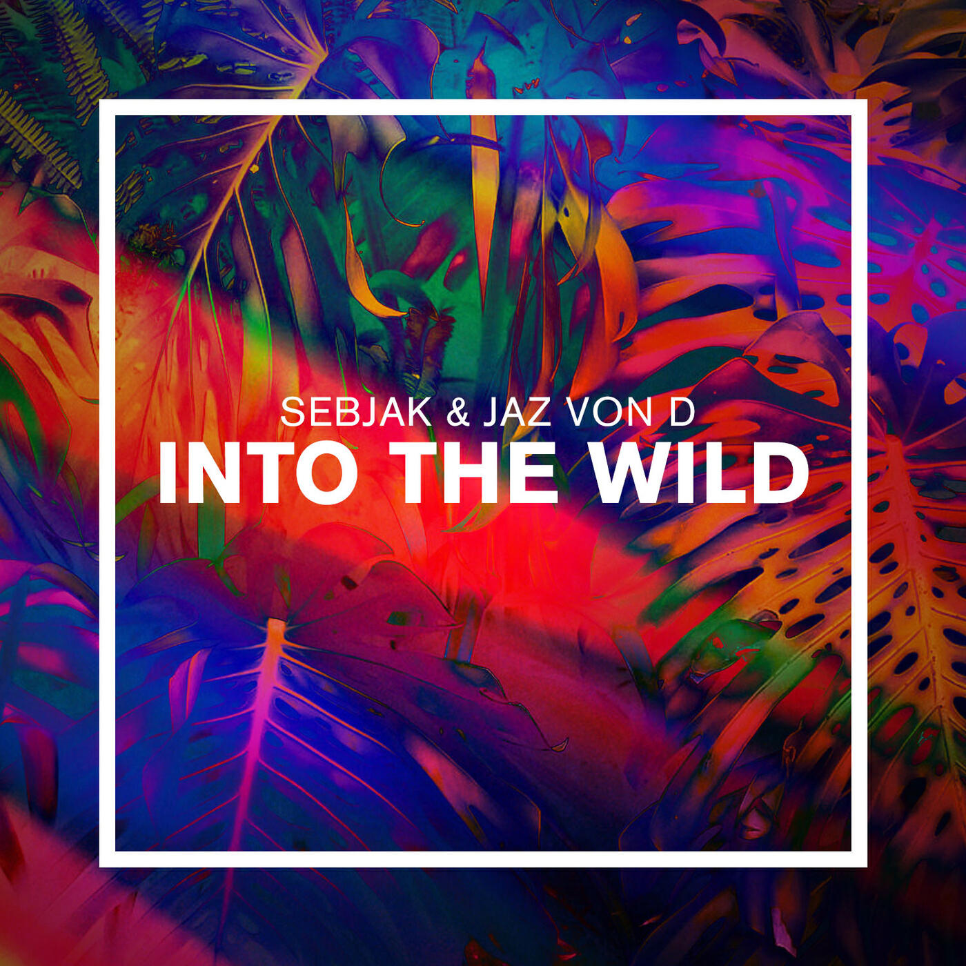 Sebjak - Into the Wild