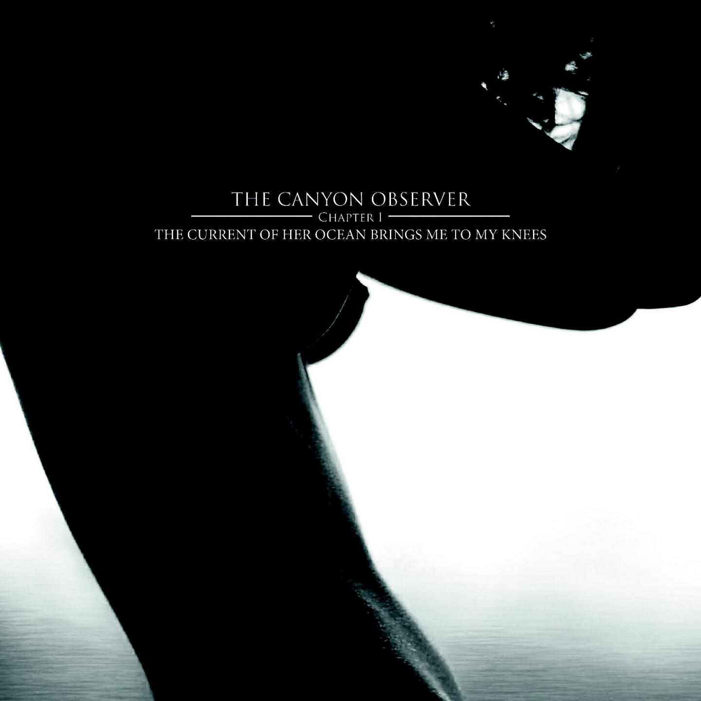 The Canyon Observer - Your Feathers Infect My Scars, the Ones You Gave Life To