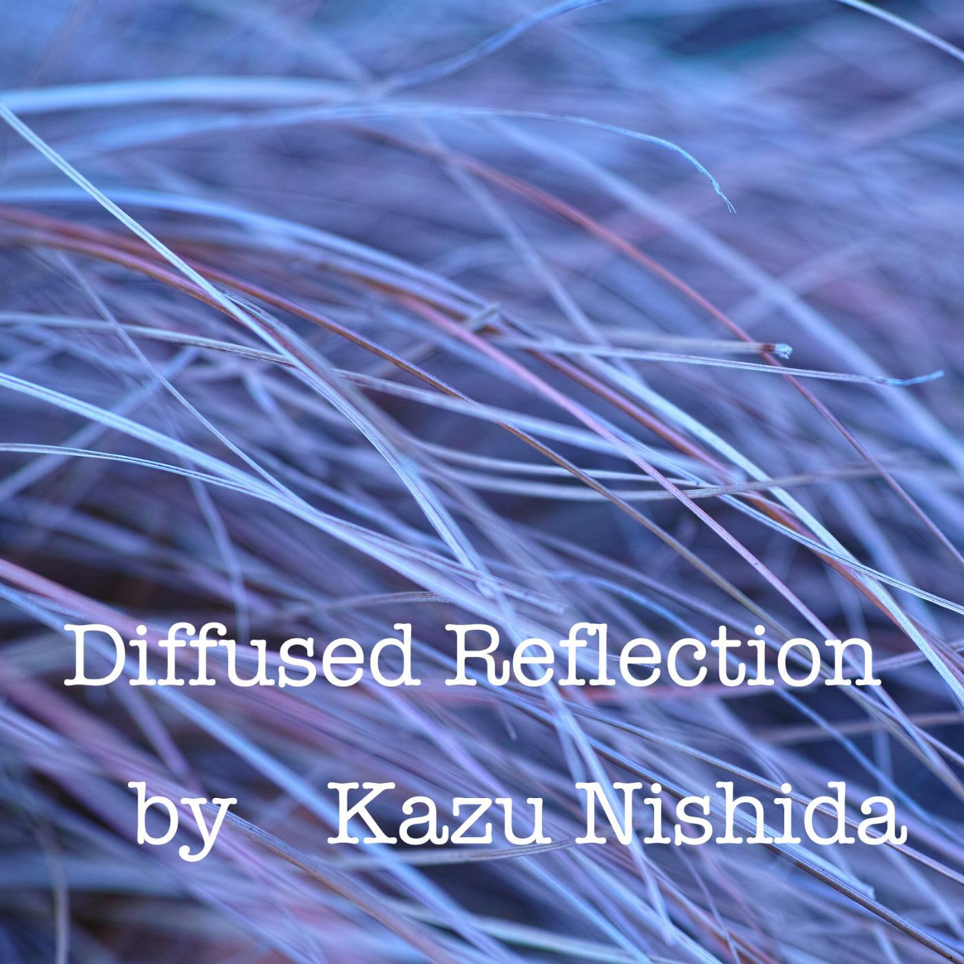 Постер альбома Diffused Reflection