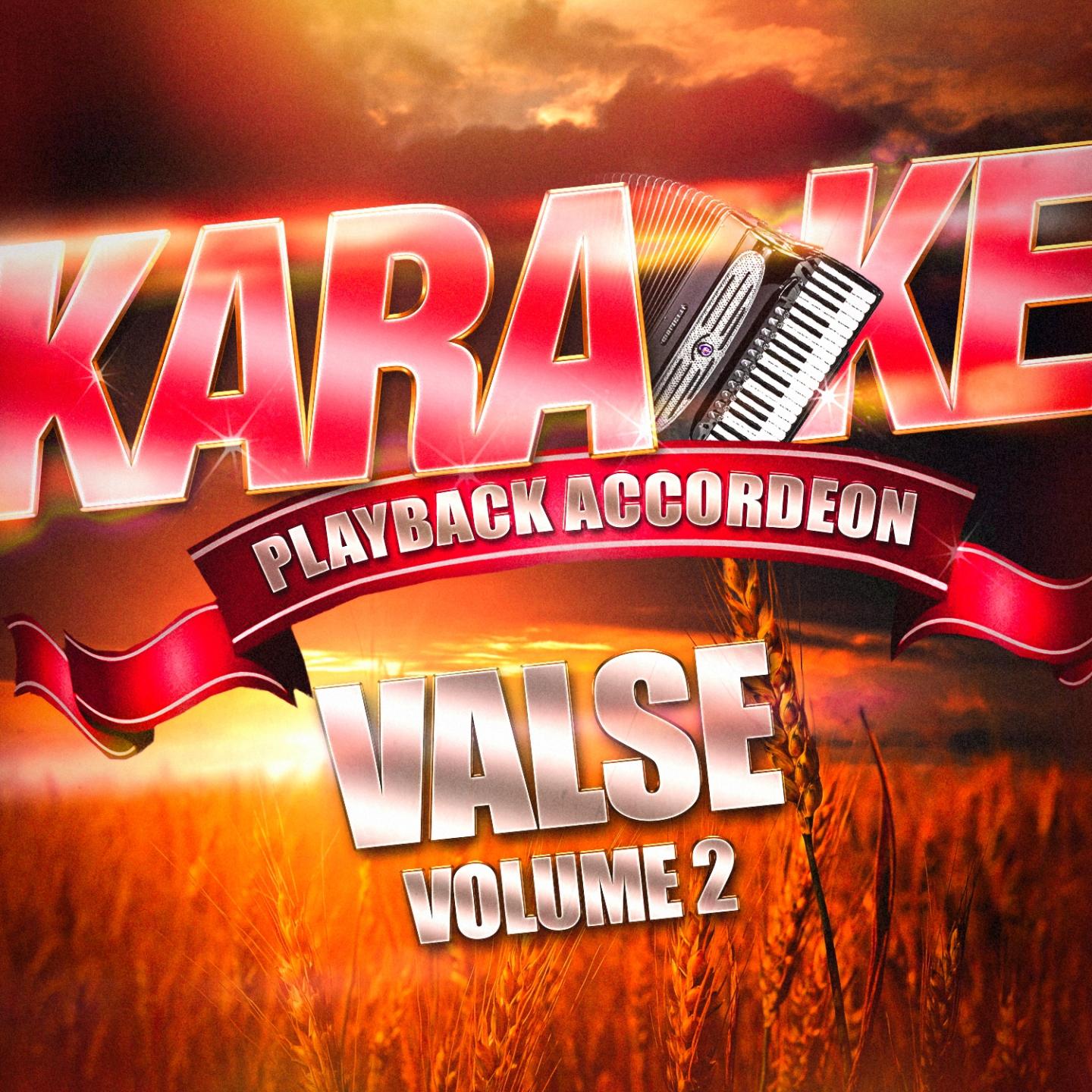 Постер альбома Karaoké Playback Accordéon : Valse, Vol. 2