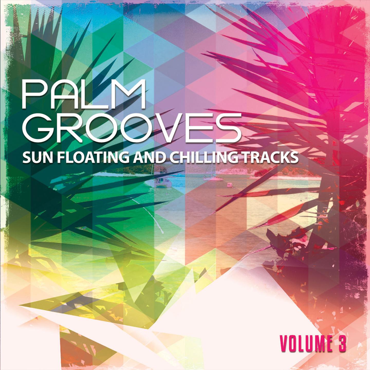 Постер альбома Palm Grooves, Vol. 3