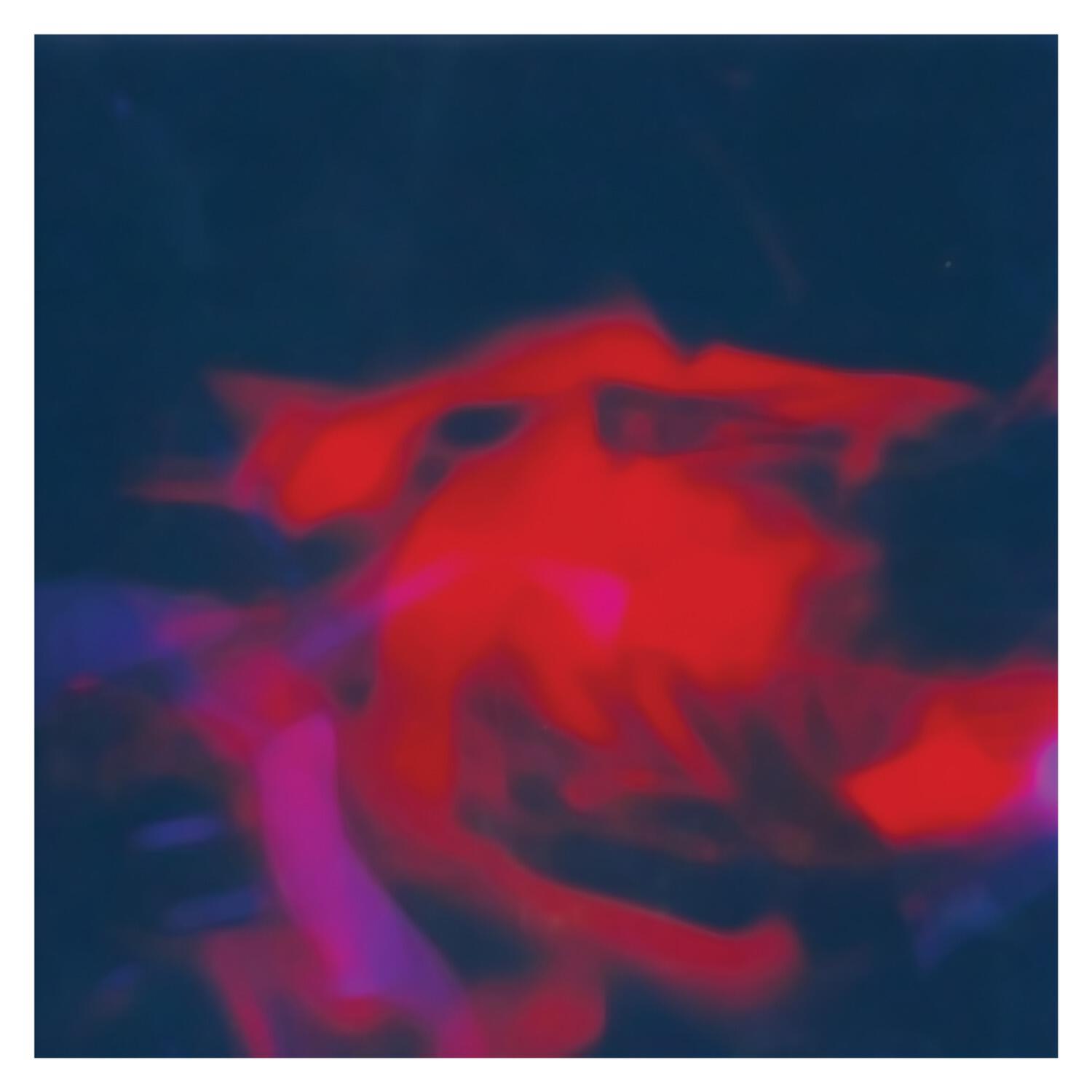 Miners - Ruby