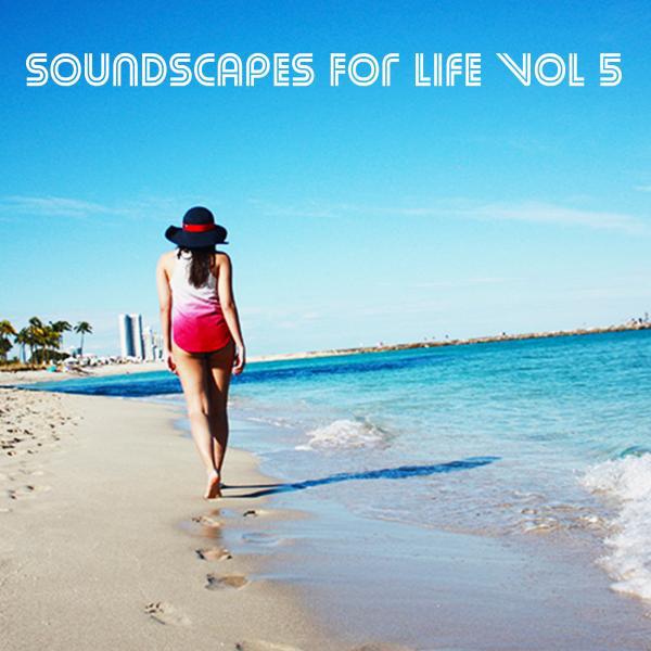 Постер альбома Soundscapes For Life, Vol. 5