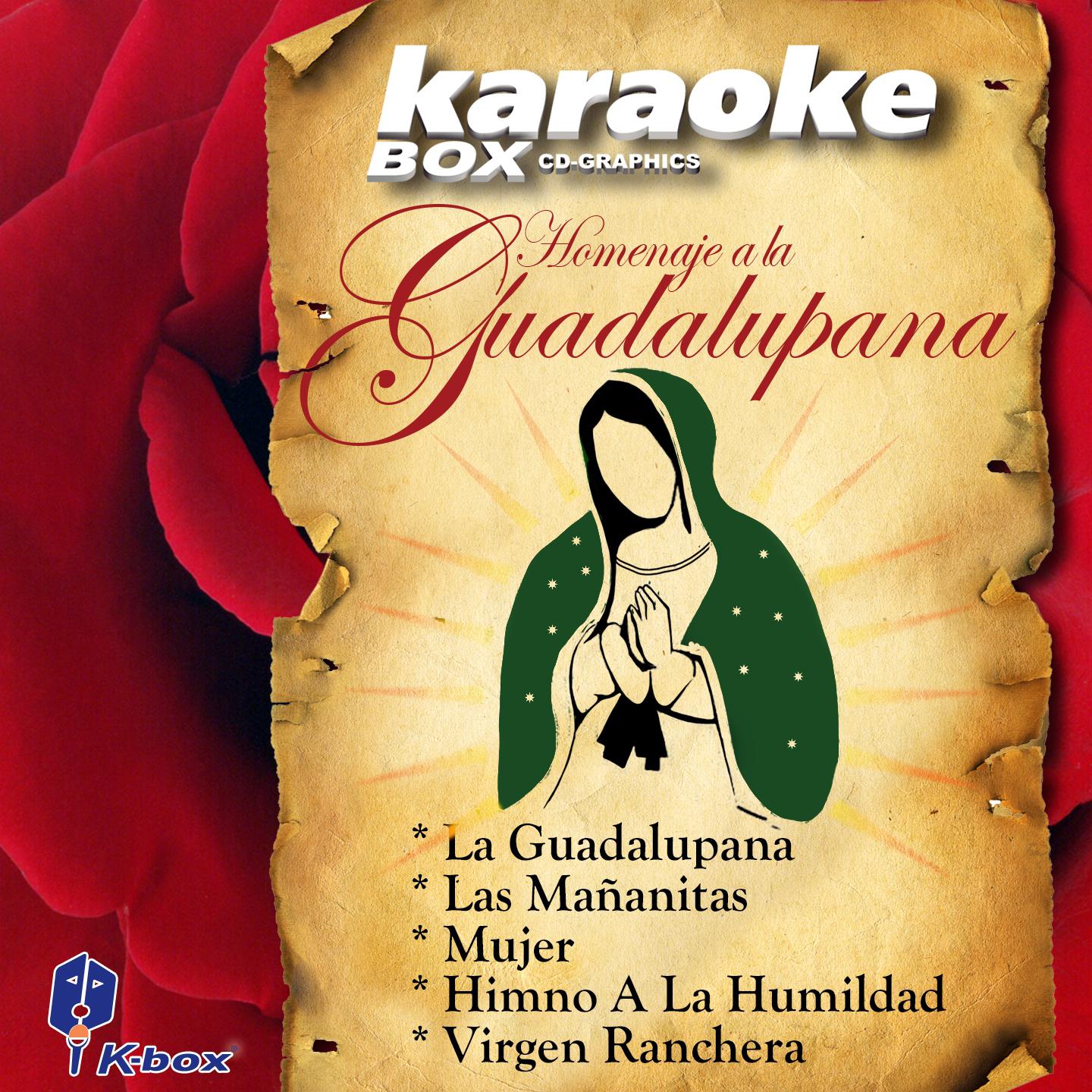 Постер альбома Homenaje A La Guadalupana