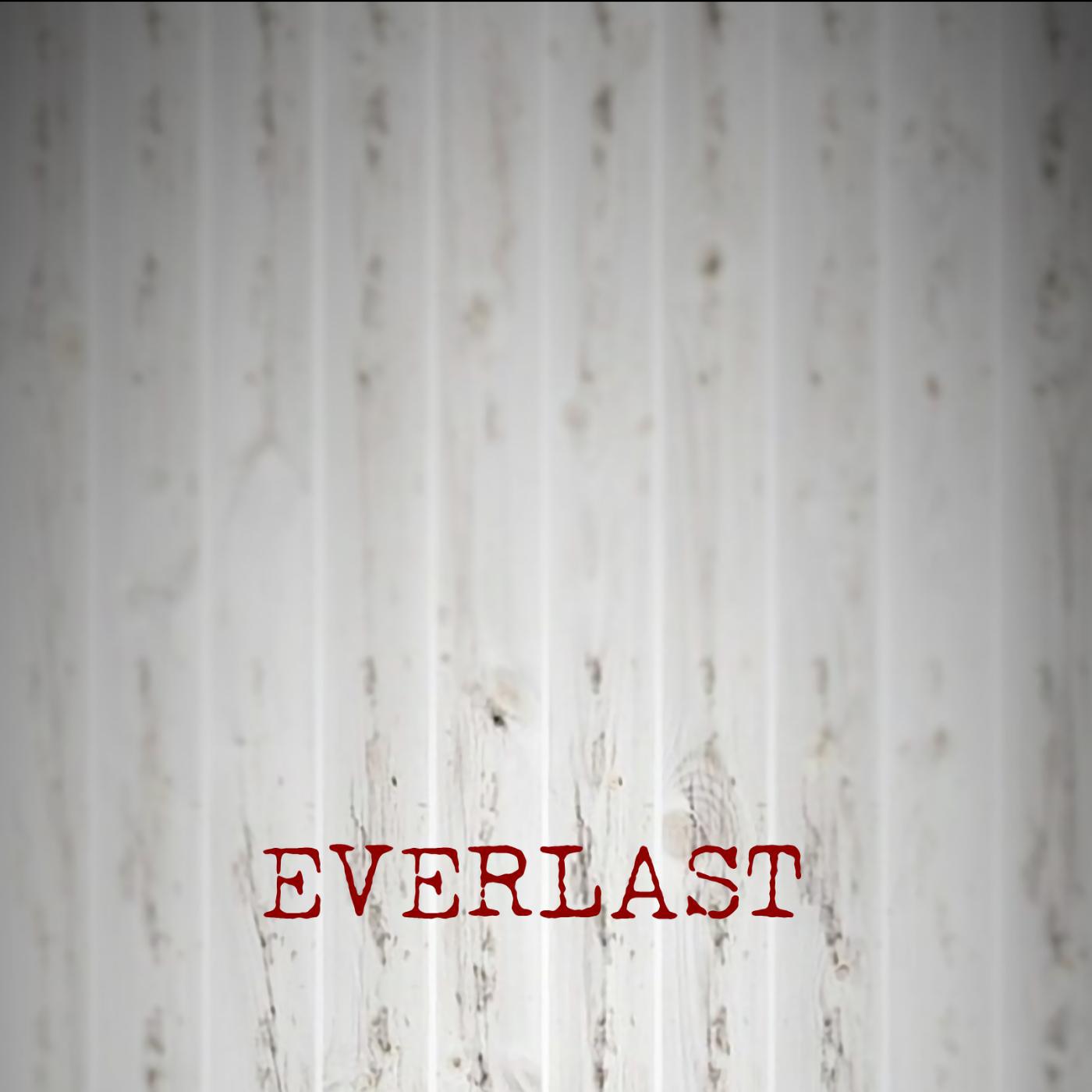 Постер альбома Everlast