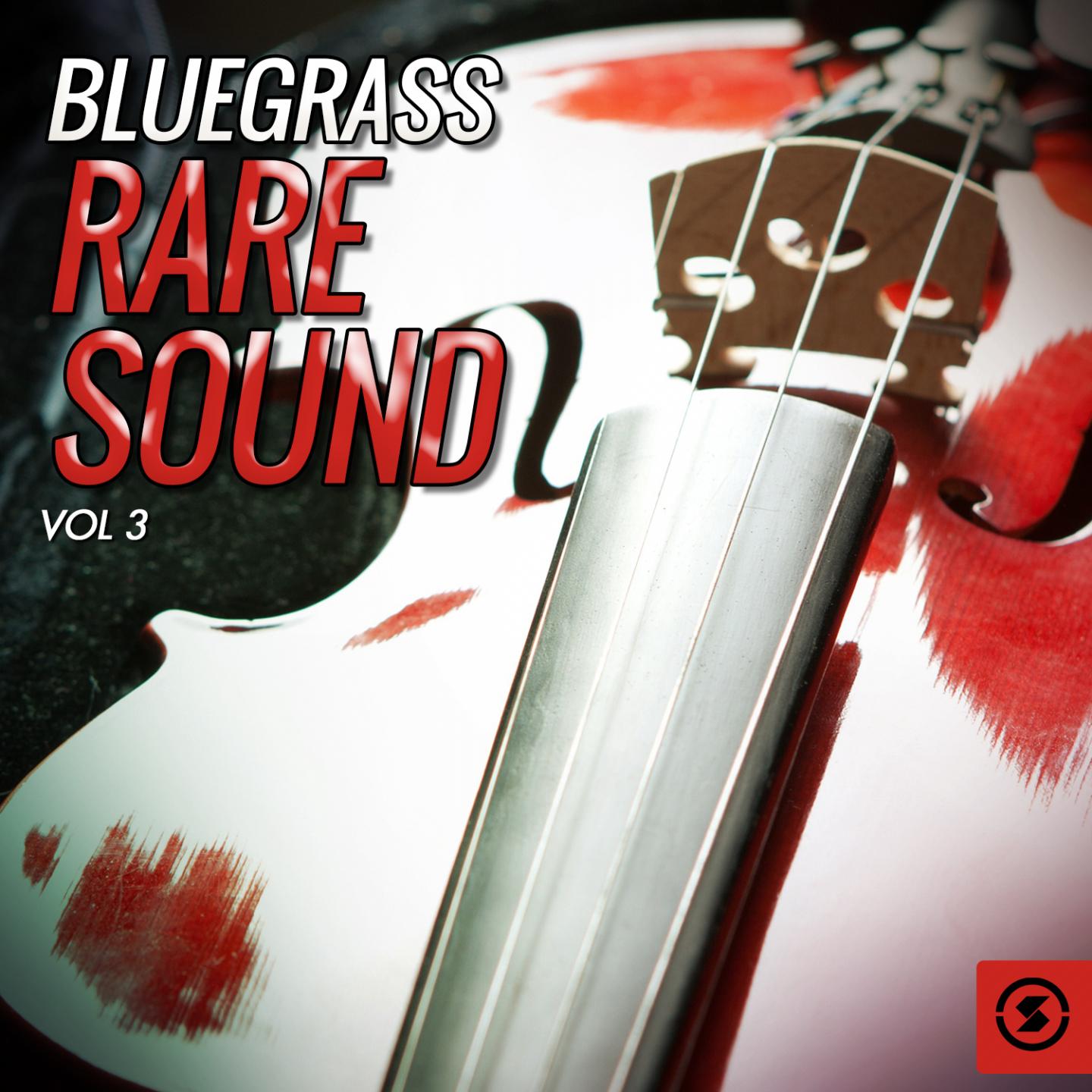 Постер альбома Bluegrass Rare Sound, Vol. 3
