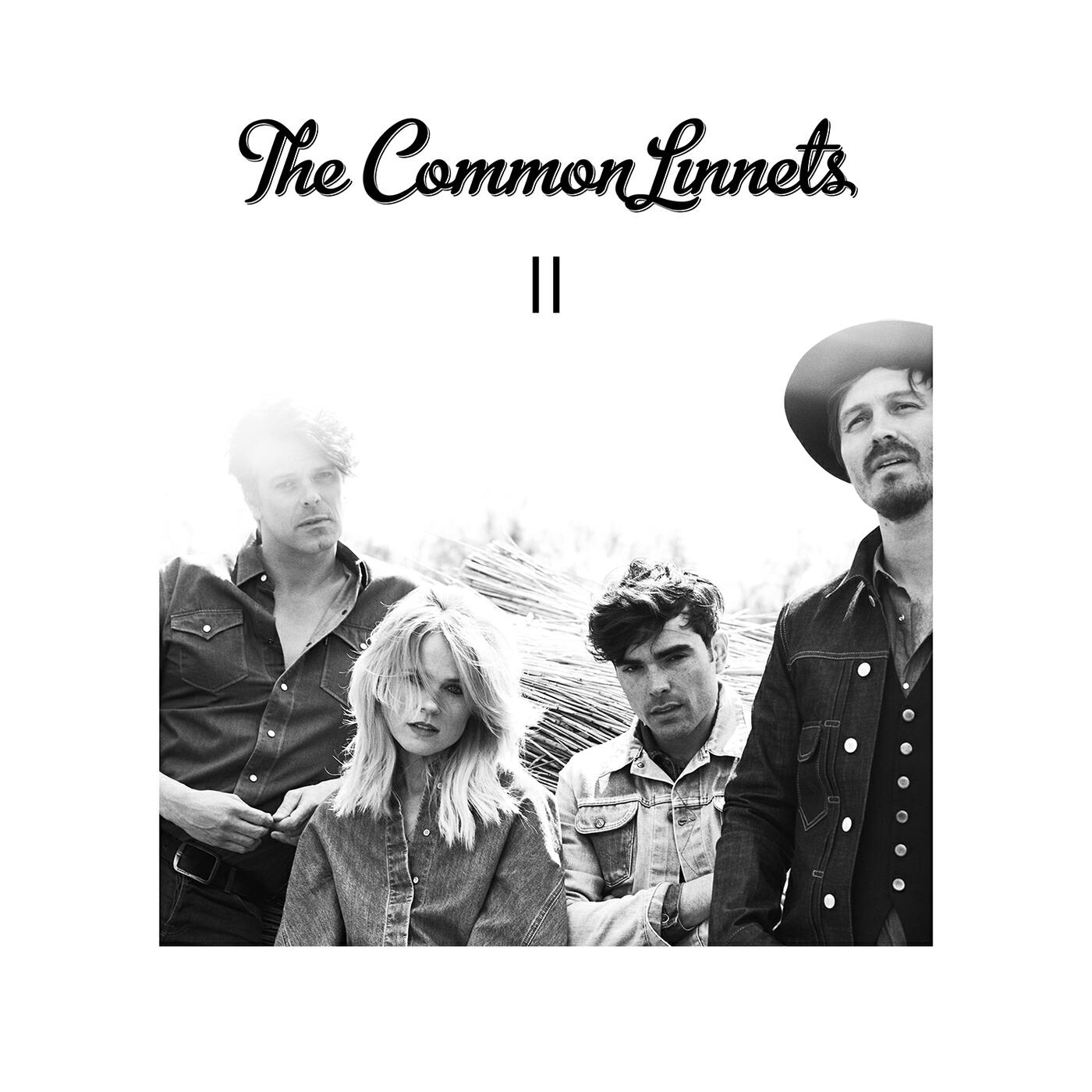 The Common Linnets - Walls Of Jericho