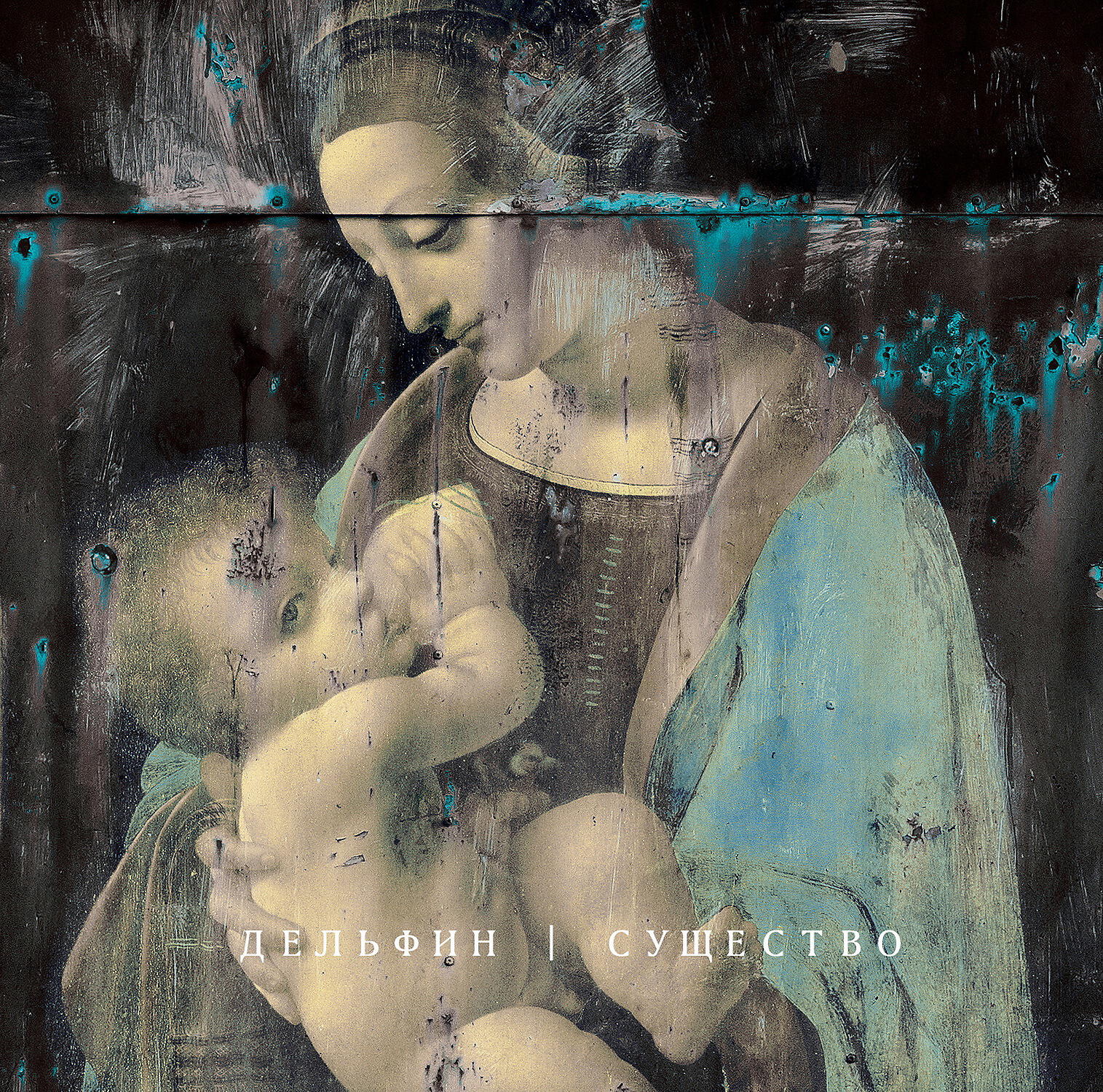 Дельфин существо обложка. Существо дельфин. Черноморская афалина. Рыба дельфин. Дельфин-афалина.