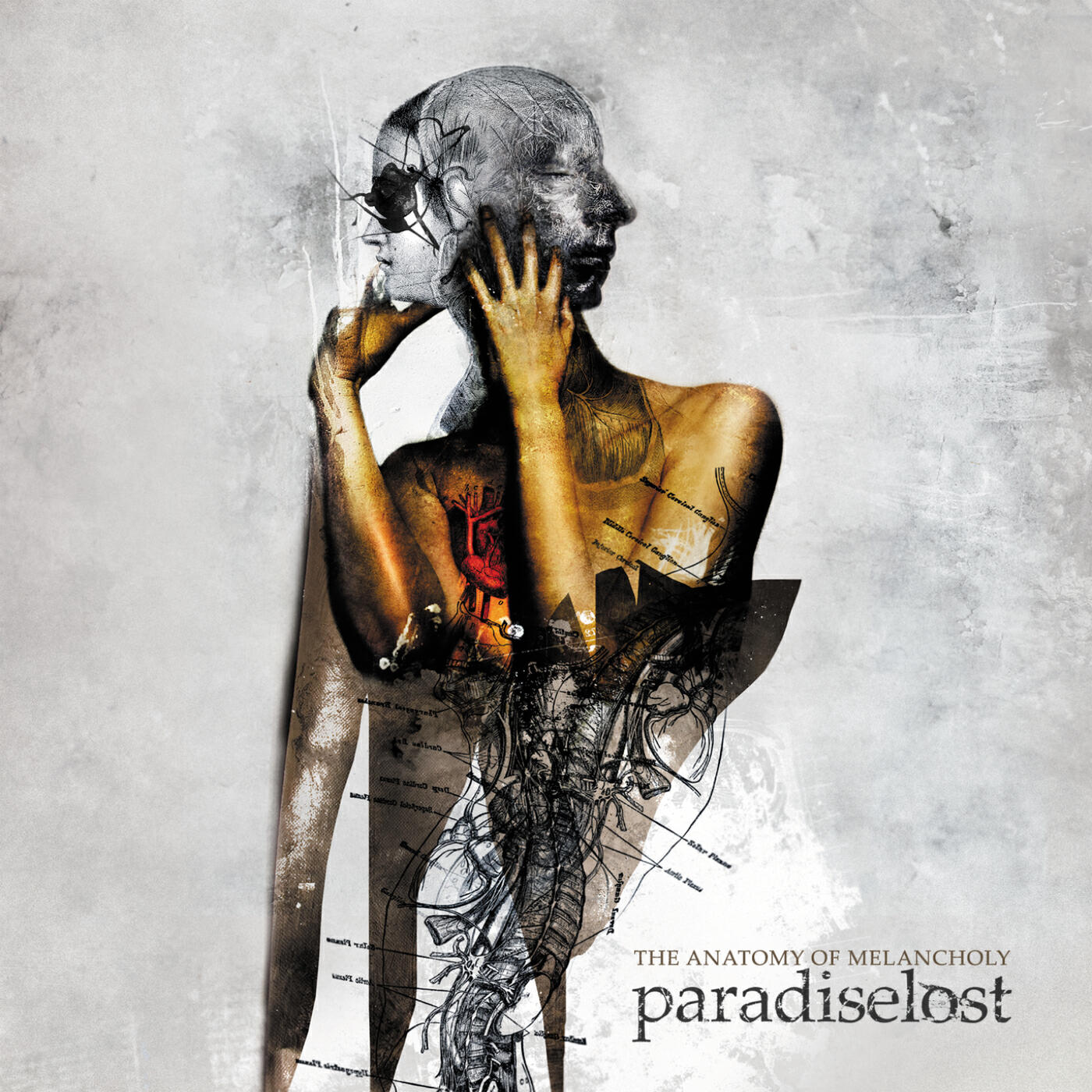 Paradise Lost - Red Shift