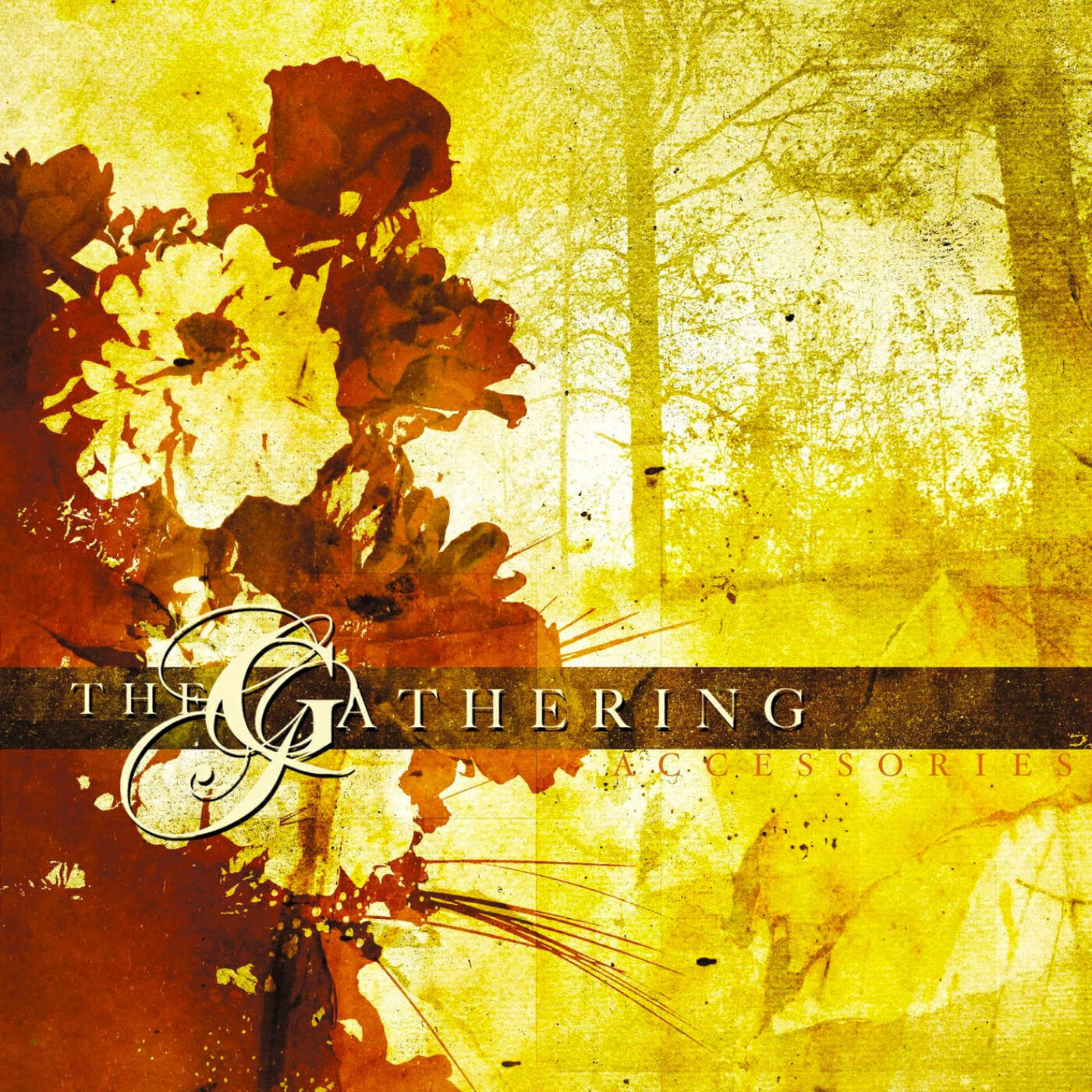 The Gathering - Frail (Live)