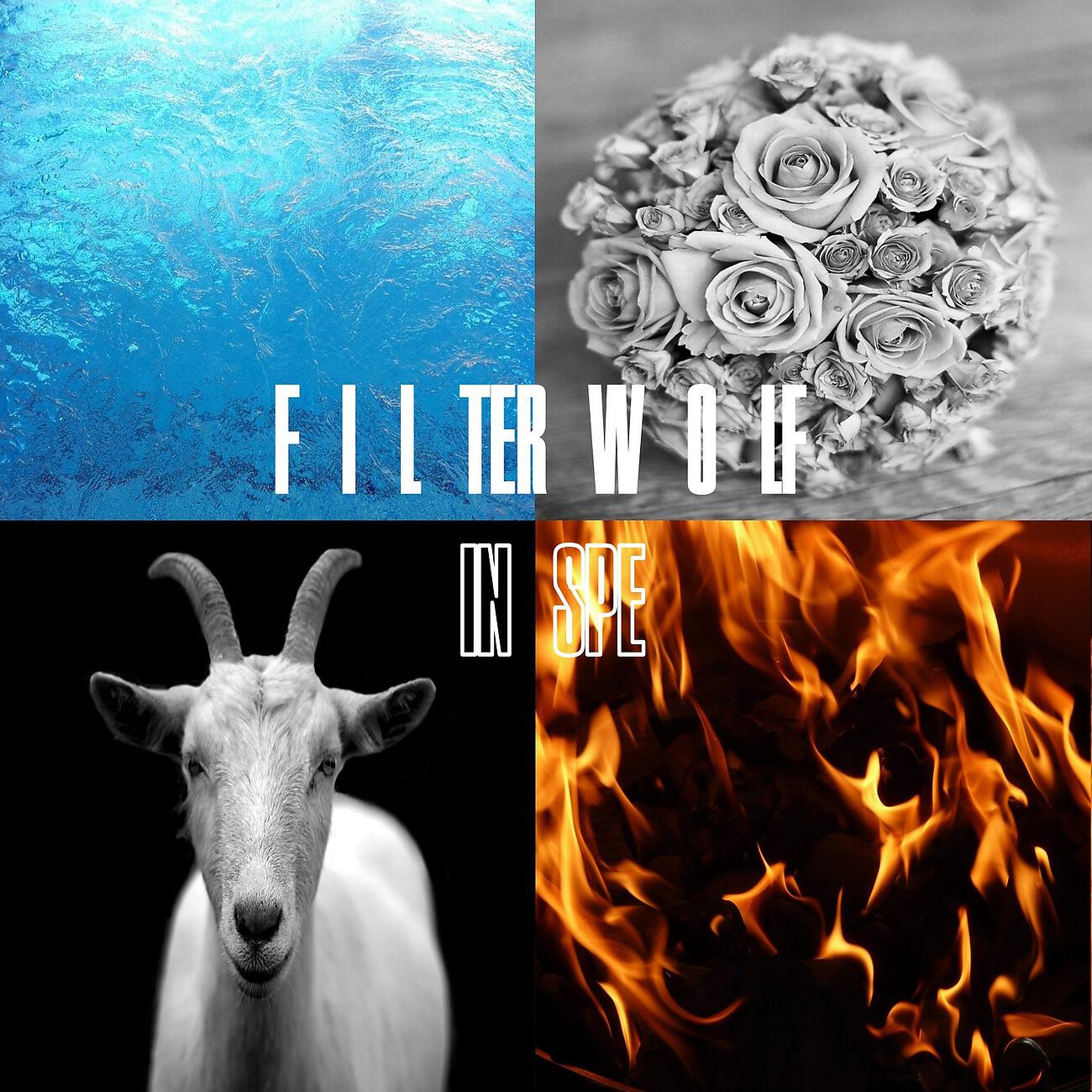 Filterwolf - Legal Highs