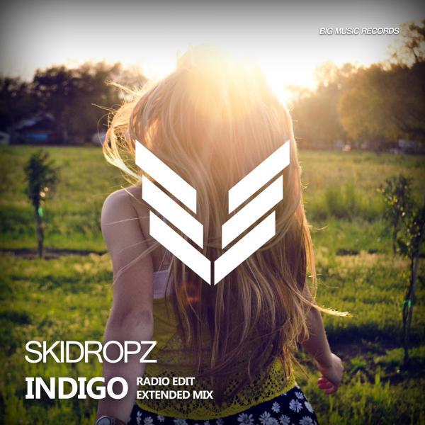 SkiDropz - Indigo (Radio Edit)