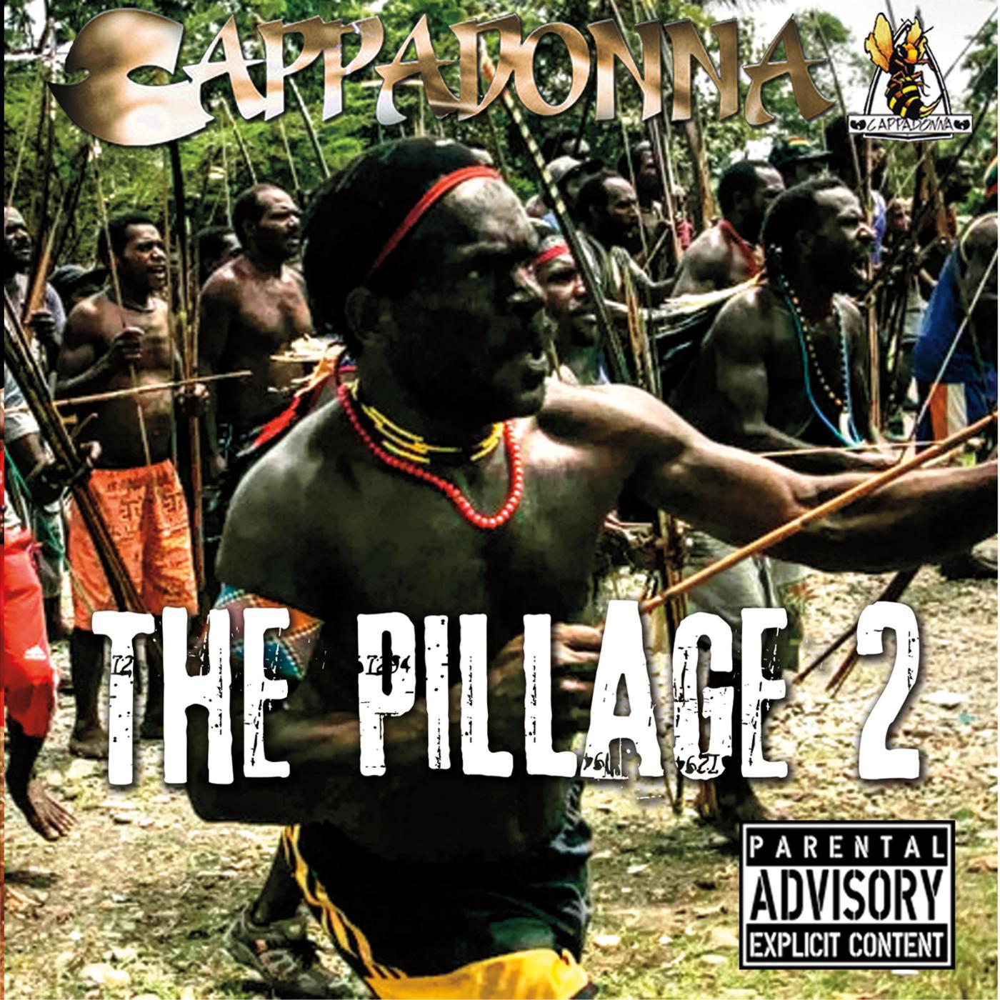 Постер альбома The Pillage 2