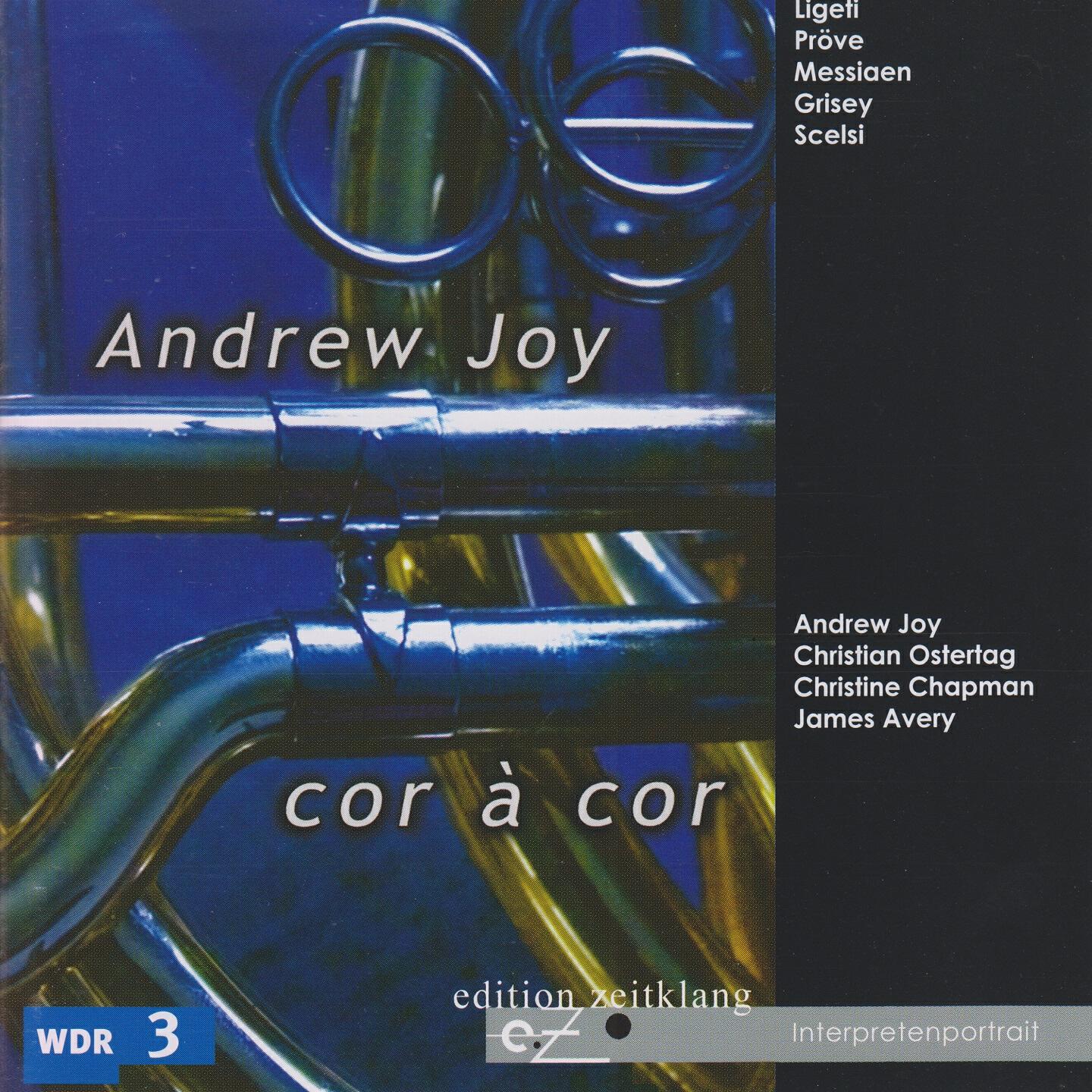 Andrew Joy - Accords perdus: No. 2, Accord perdu