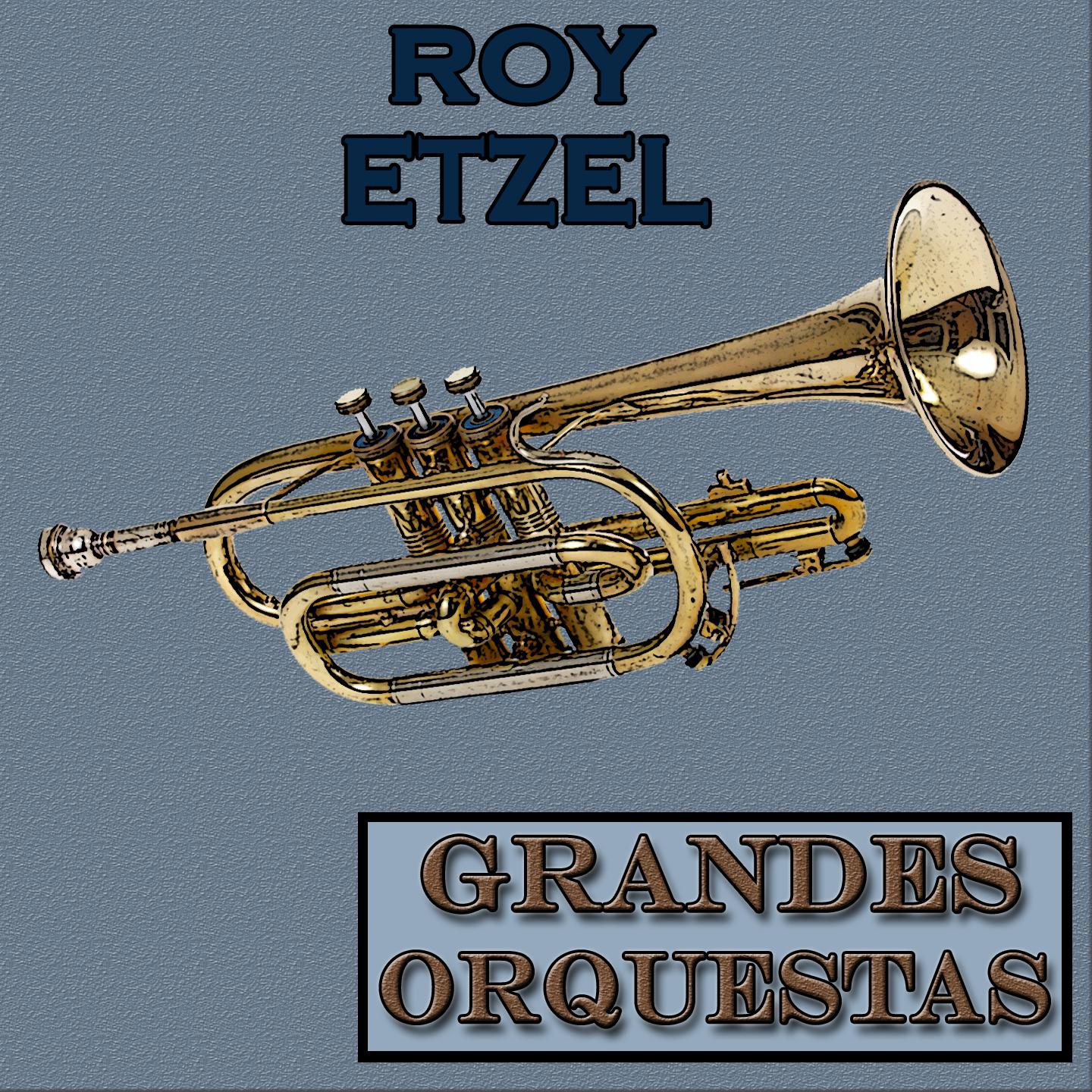 Постер альбома Grandes Orquestas, Roy Etzel