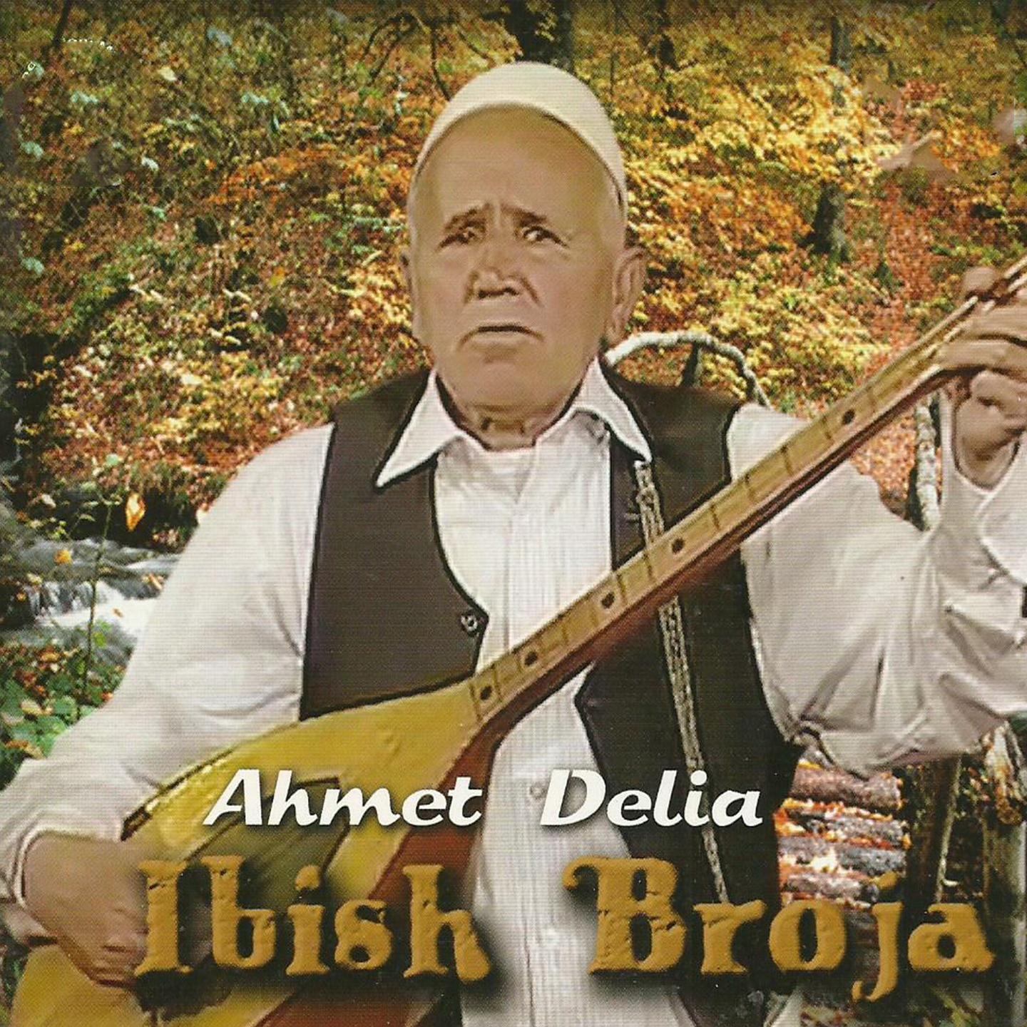Постер альбома Ahmet Delia