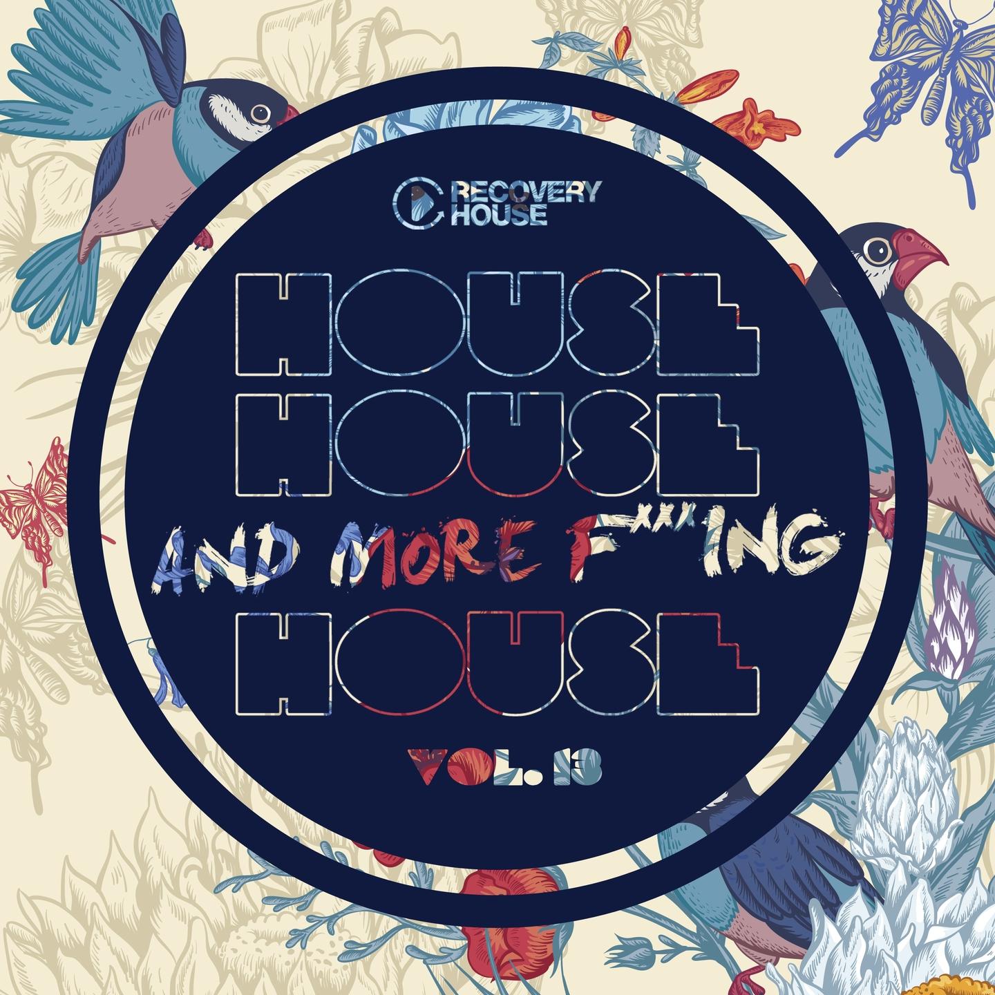 Постер альбома House, House and More F..king House, Vol. 13