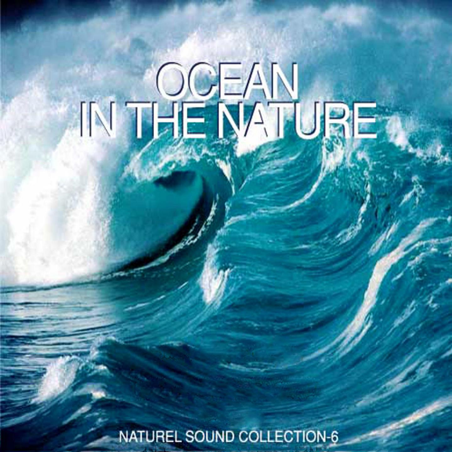 Постер альбома Ocean In The Nature