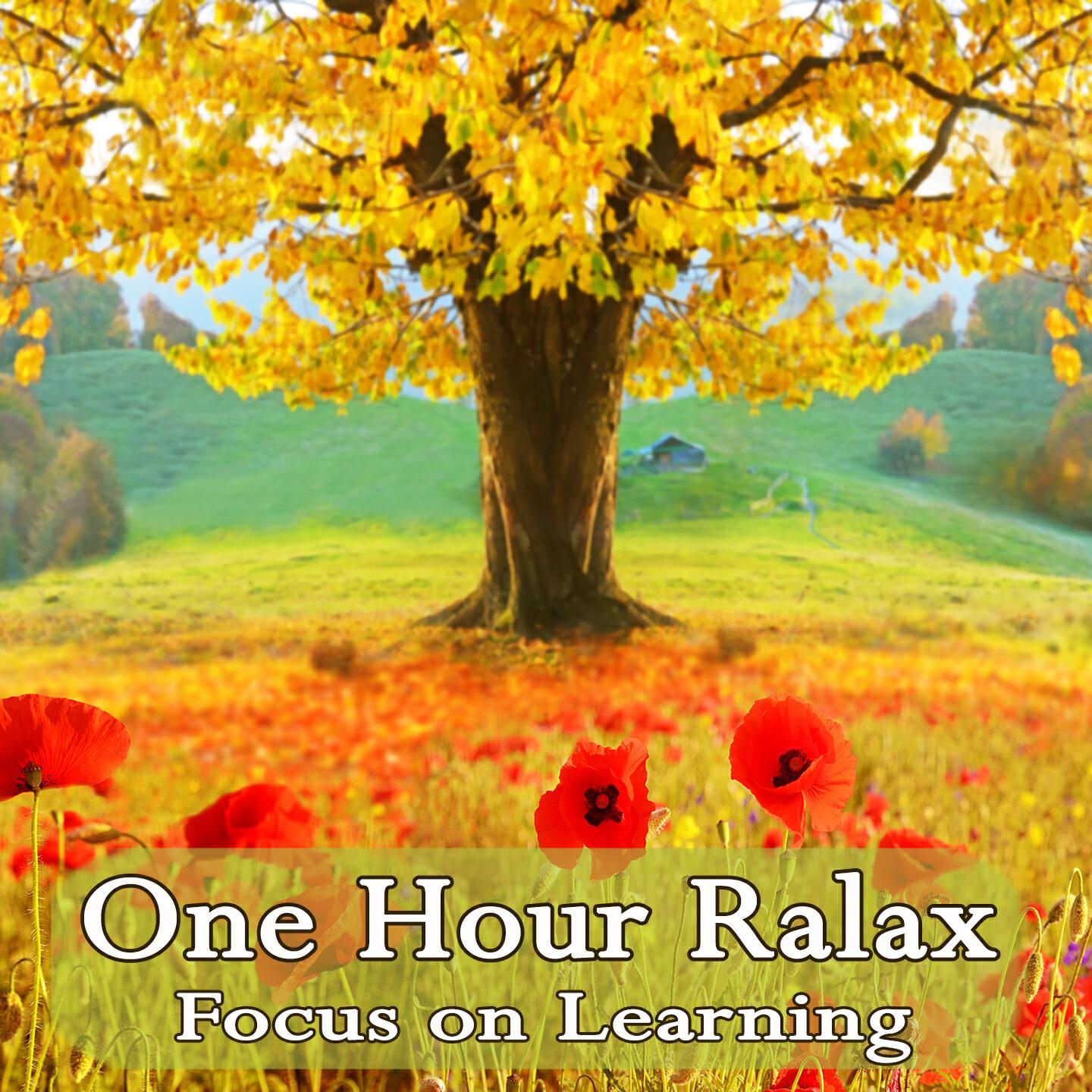 CAESAR - One Hour Relax (Focus on Learning)
