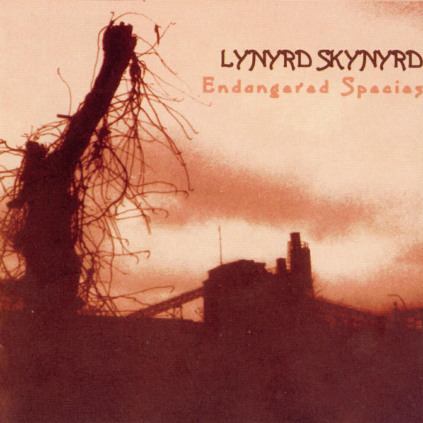 Lynyrd Skynyrd - Hillbilly Blues