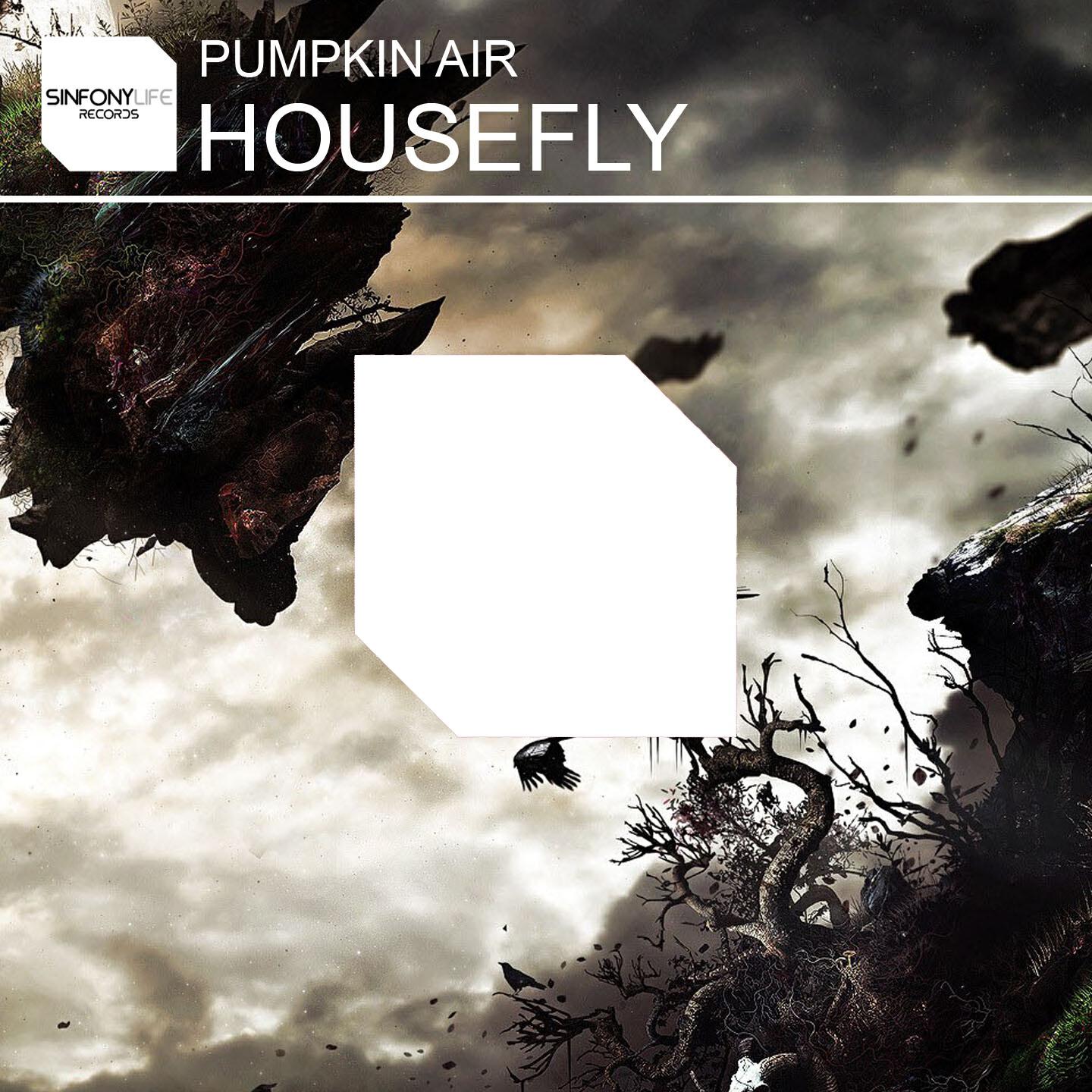 Pumpkin Air - Housefly