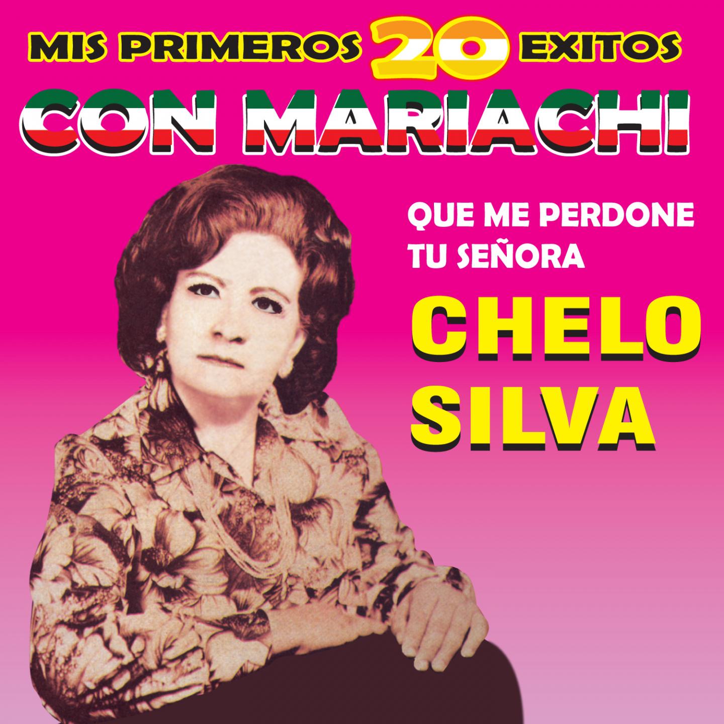 Постер альбома Mis Primeros 20 Éxitos Con Mariachi