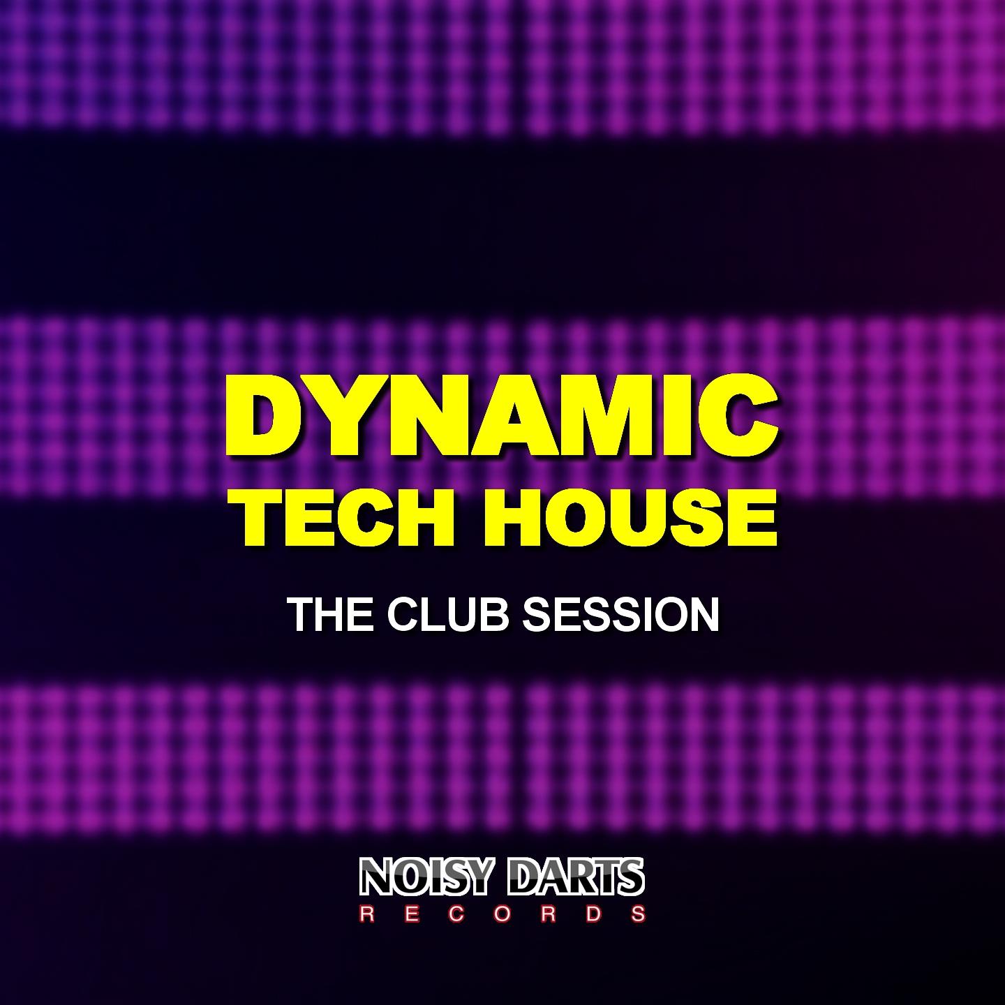 Постер альбома Dynamic Tech House